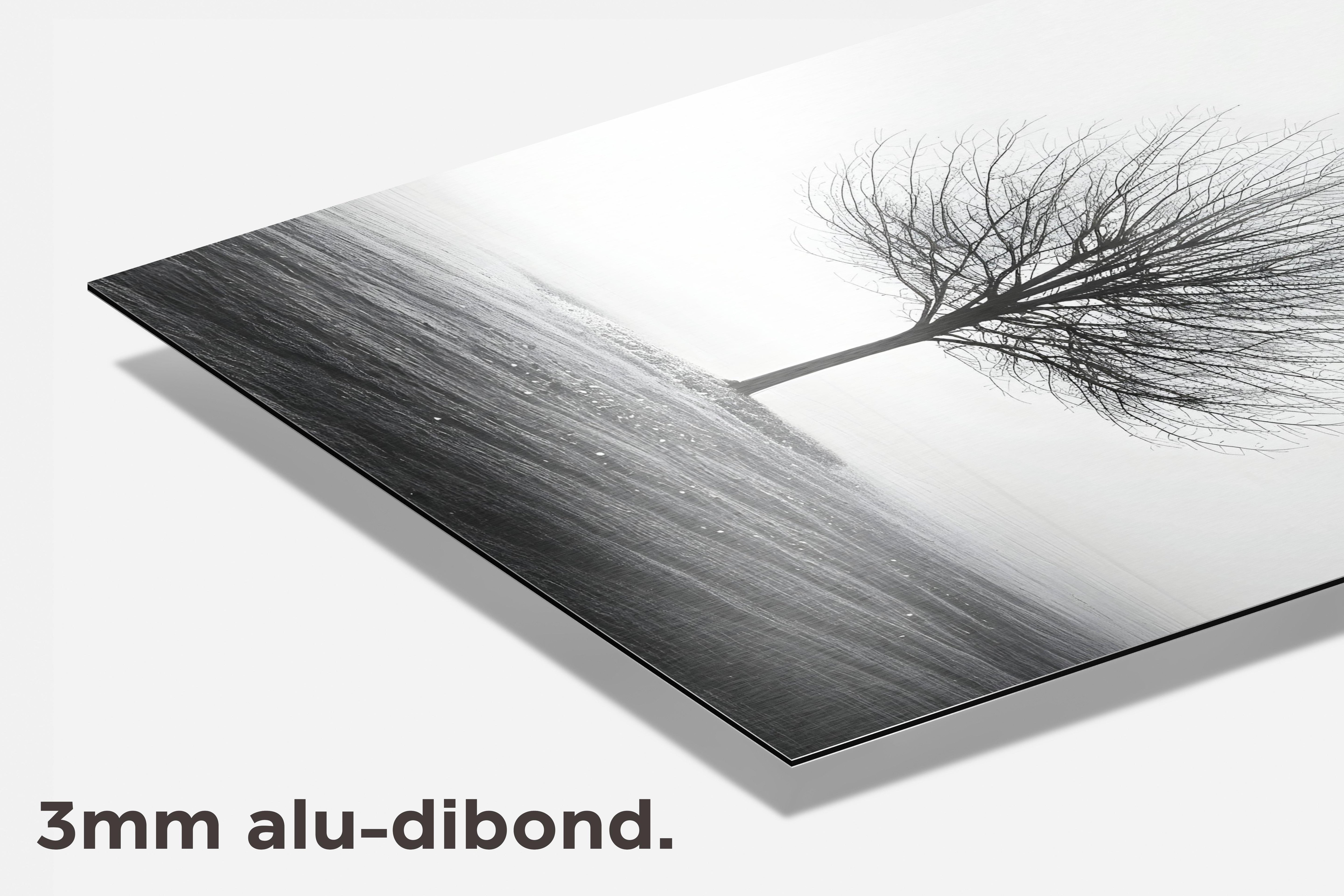 Eenzame Boom dibond detail