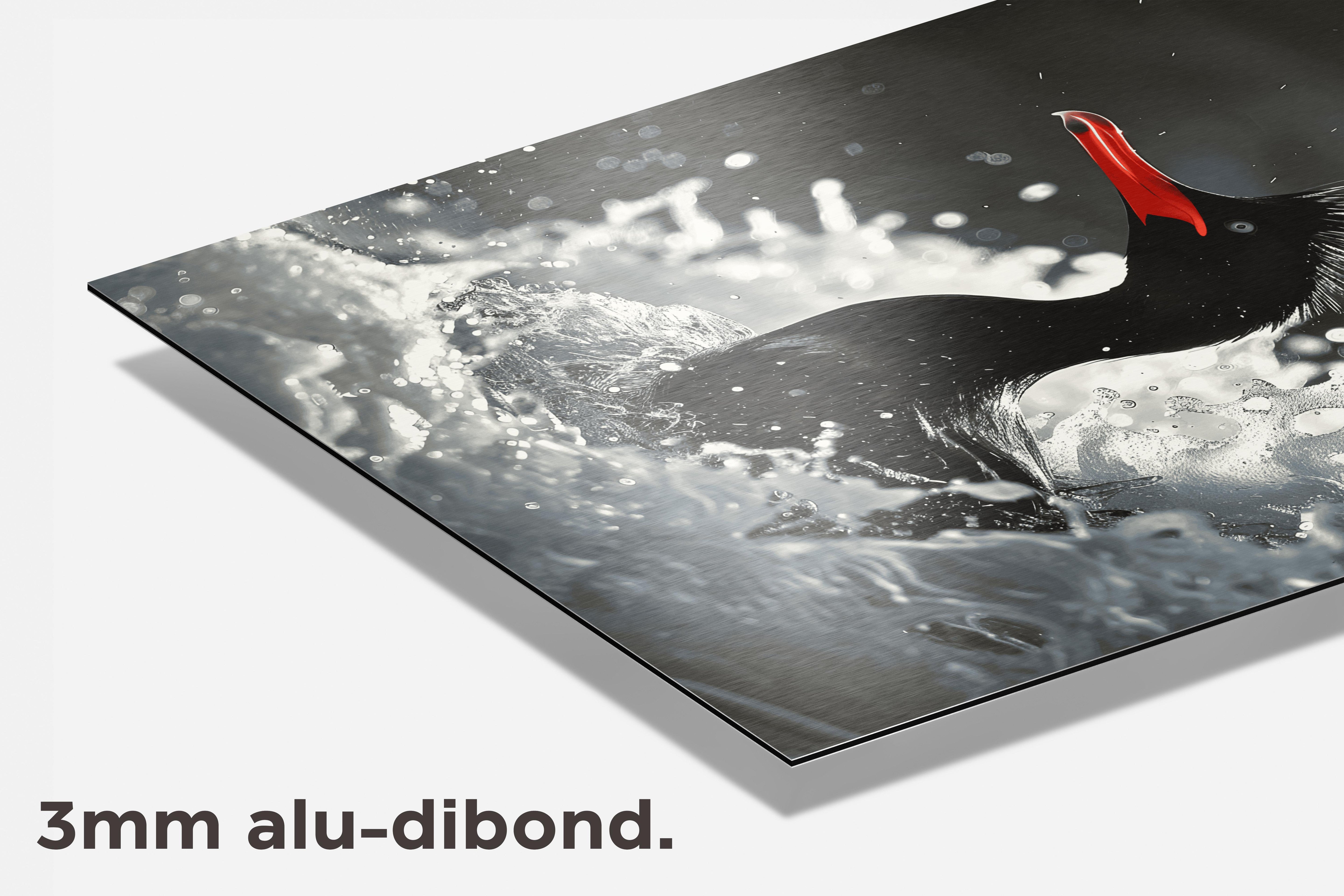 Vogel In Water dibond detail