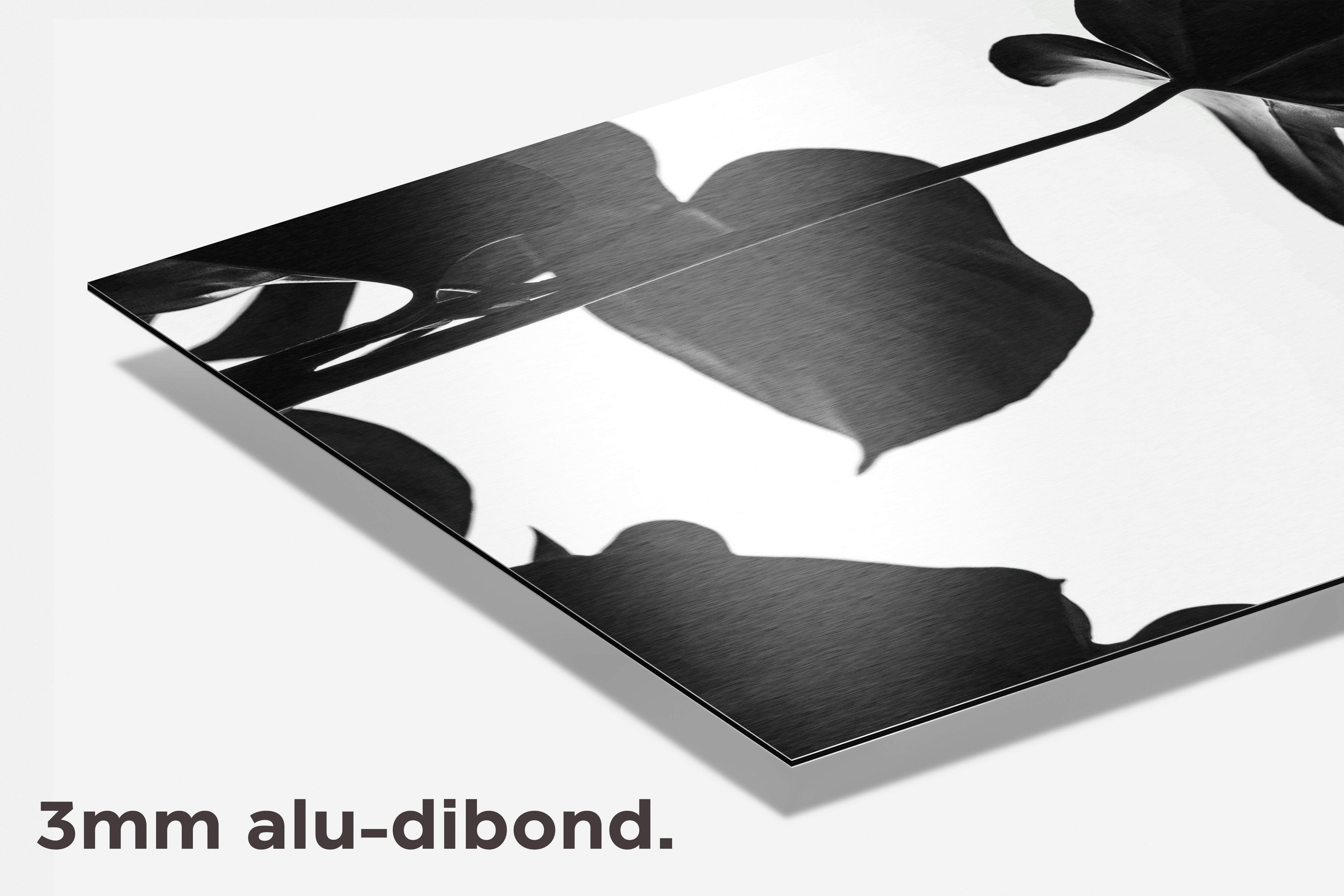 Monstera dibond detail