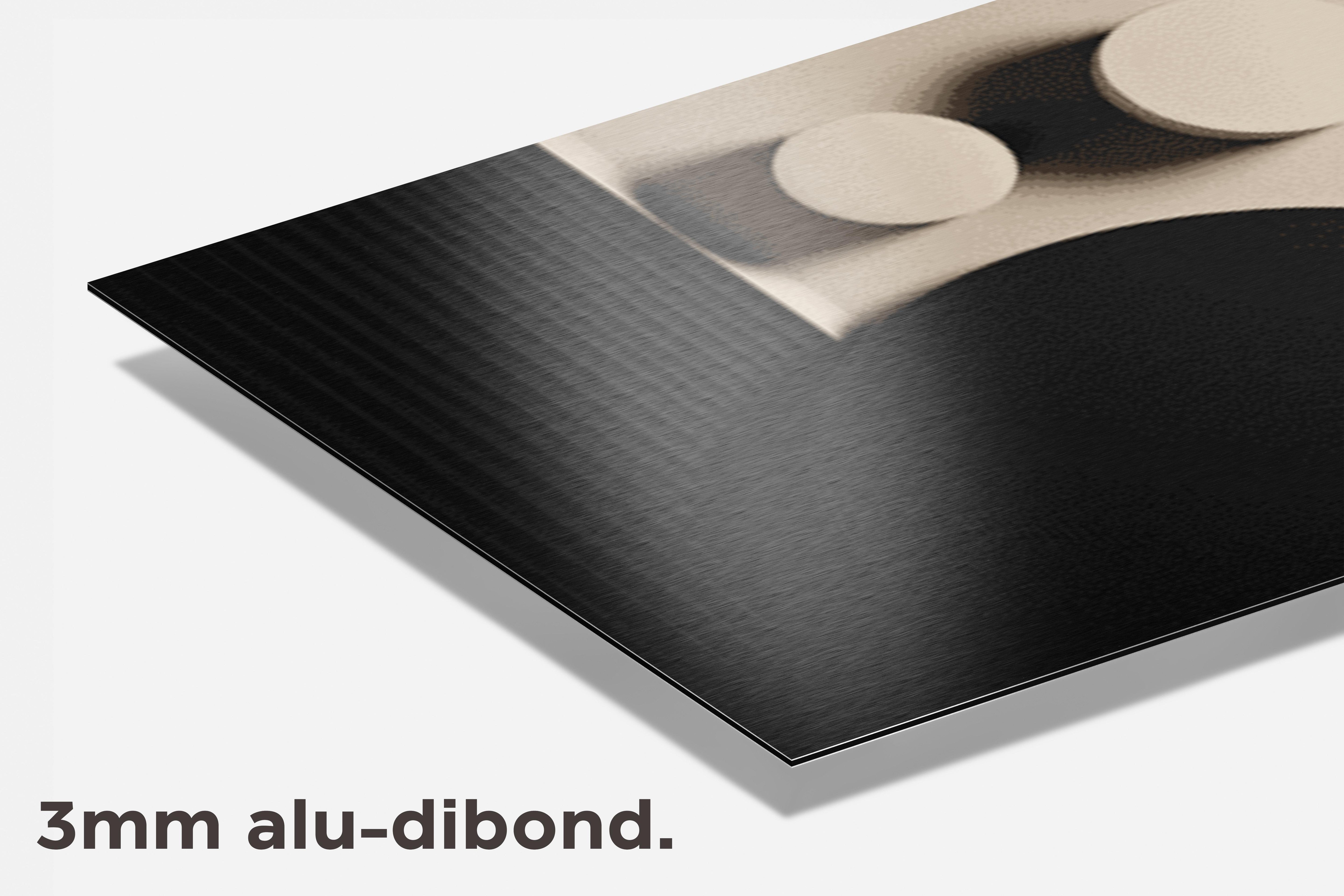 Cirkels Zwart Wit dibond detail