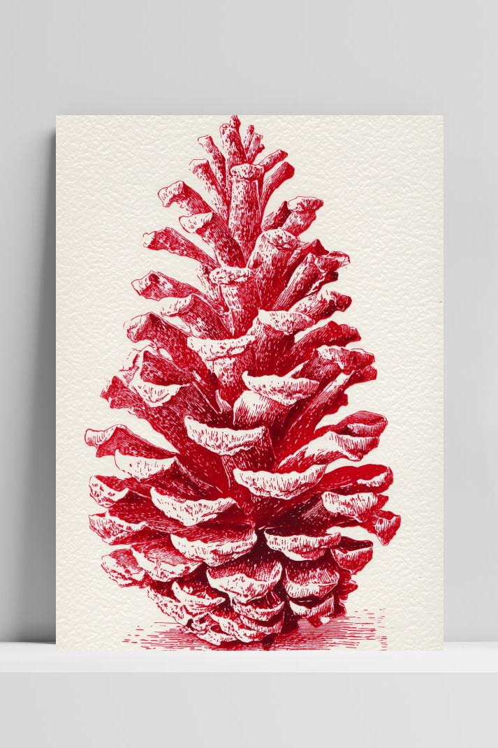 Pinecone Drawing poster van 25 Artstreet
