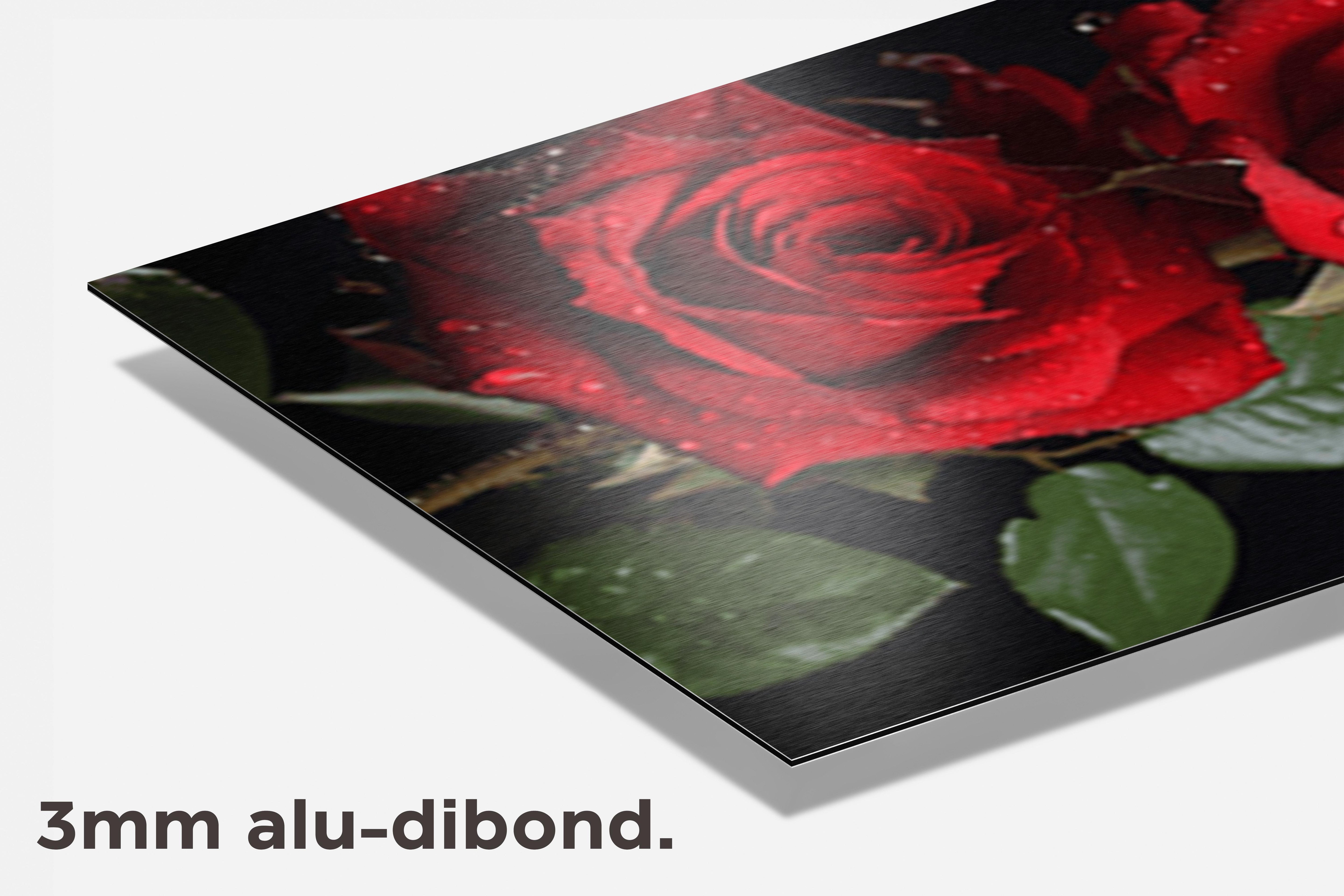 Rozen Nat dibond detail
