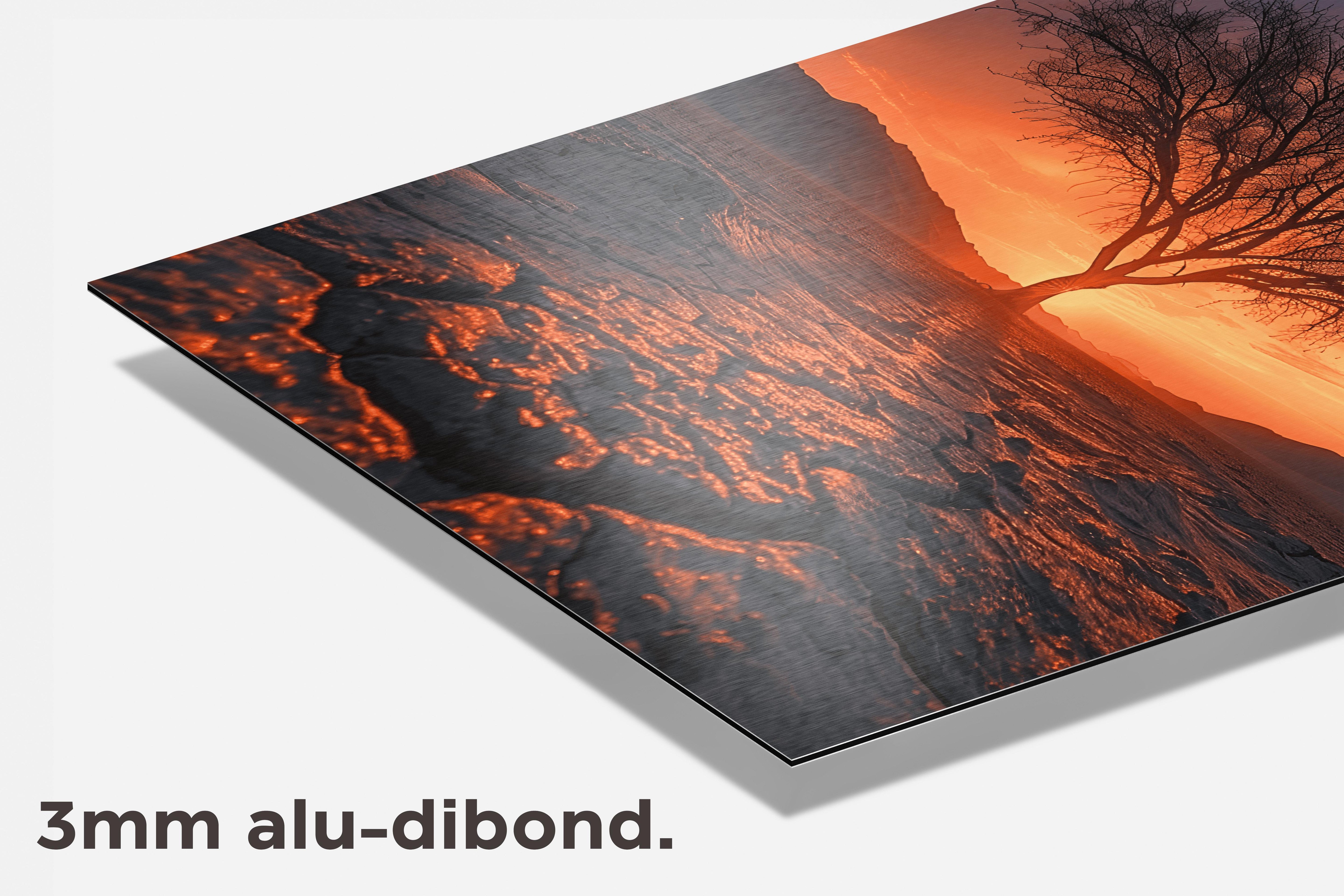 Zonsondergang Boom dibond detail