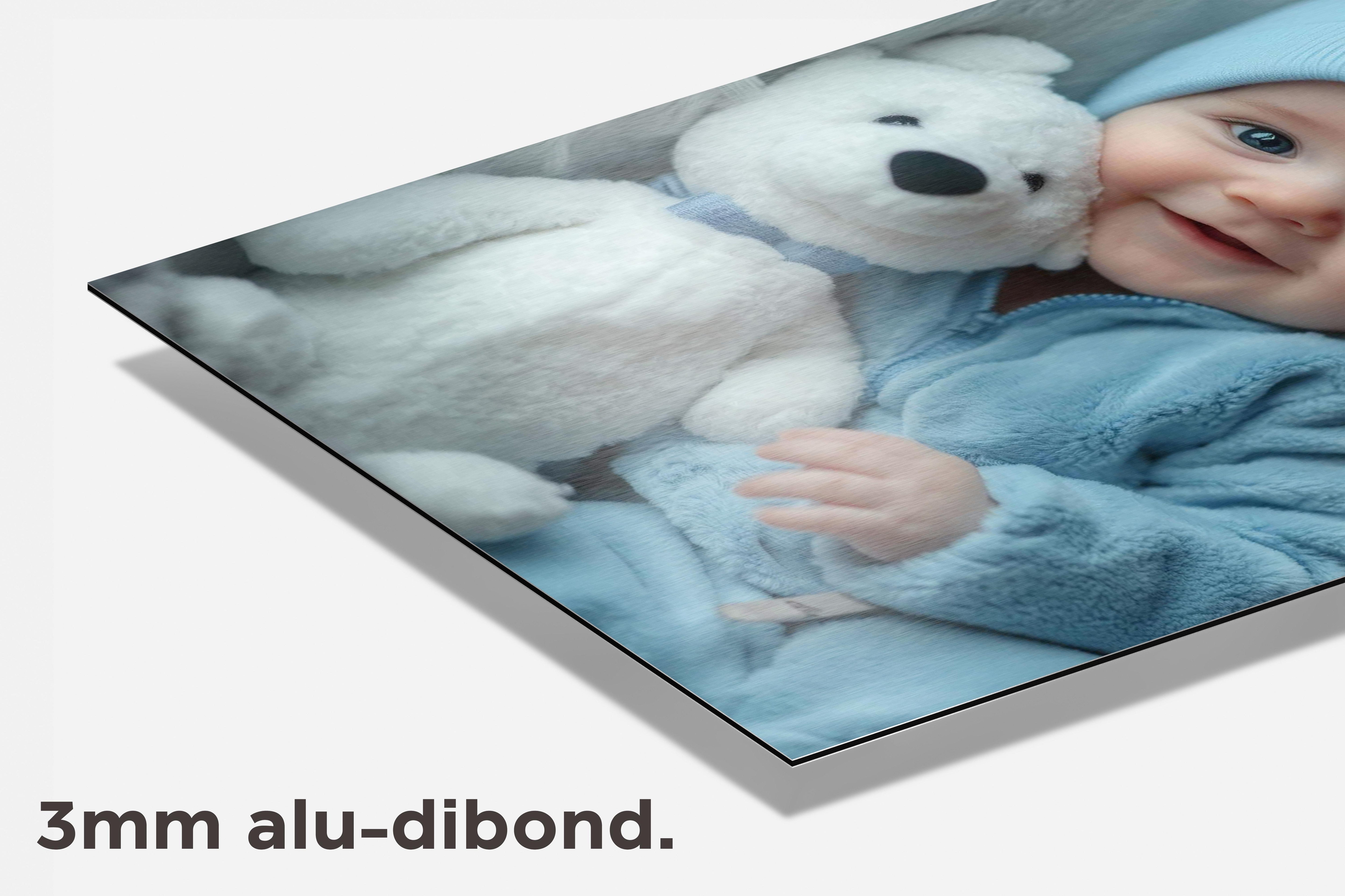 Baby Teddybeer dibond detail
