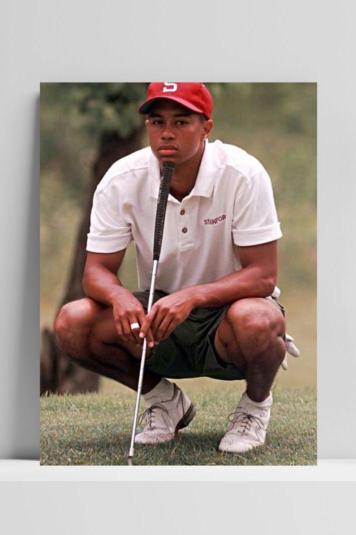 Tiger Woods Golf College im Interieur