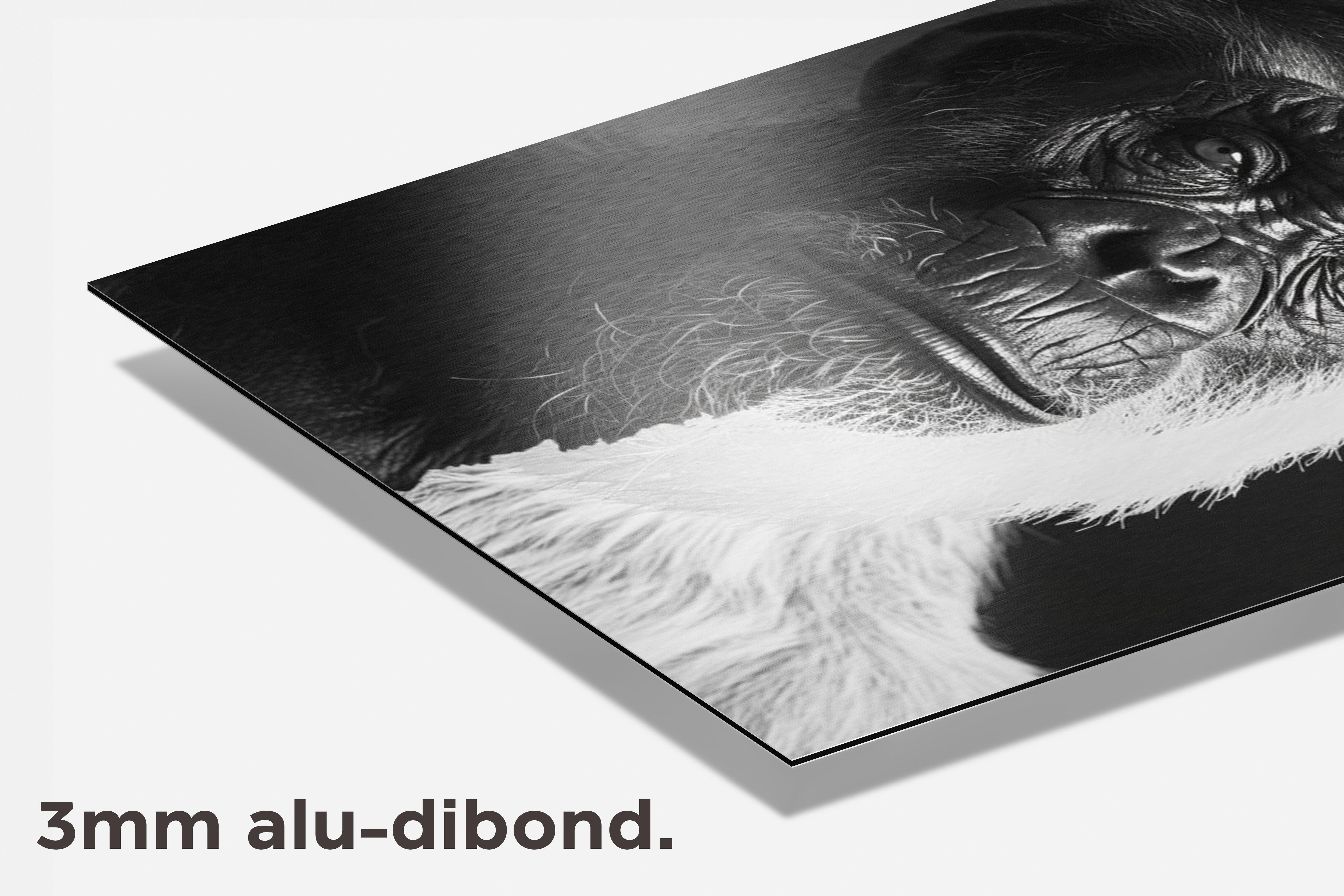 Gorilla Zwart Wit dibond detail