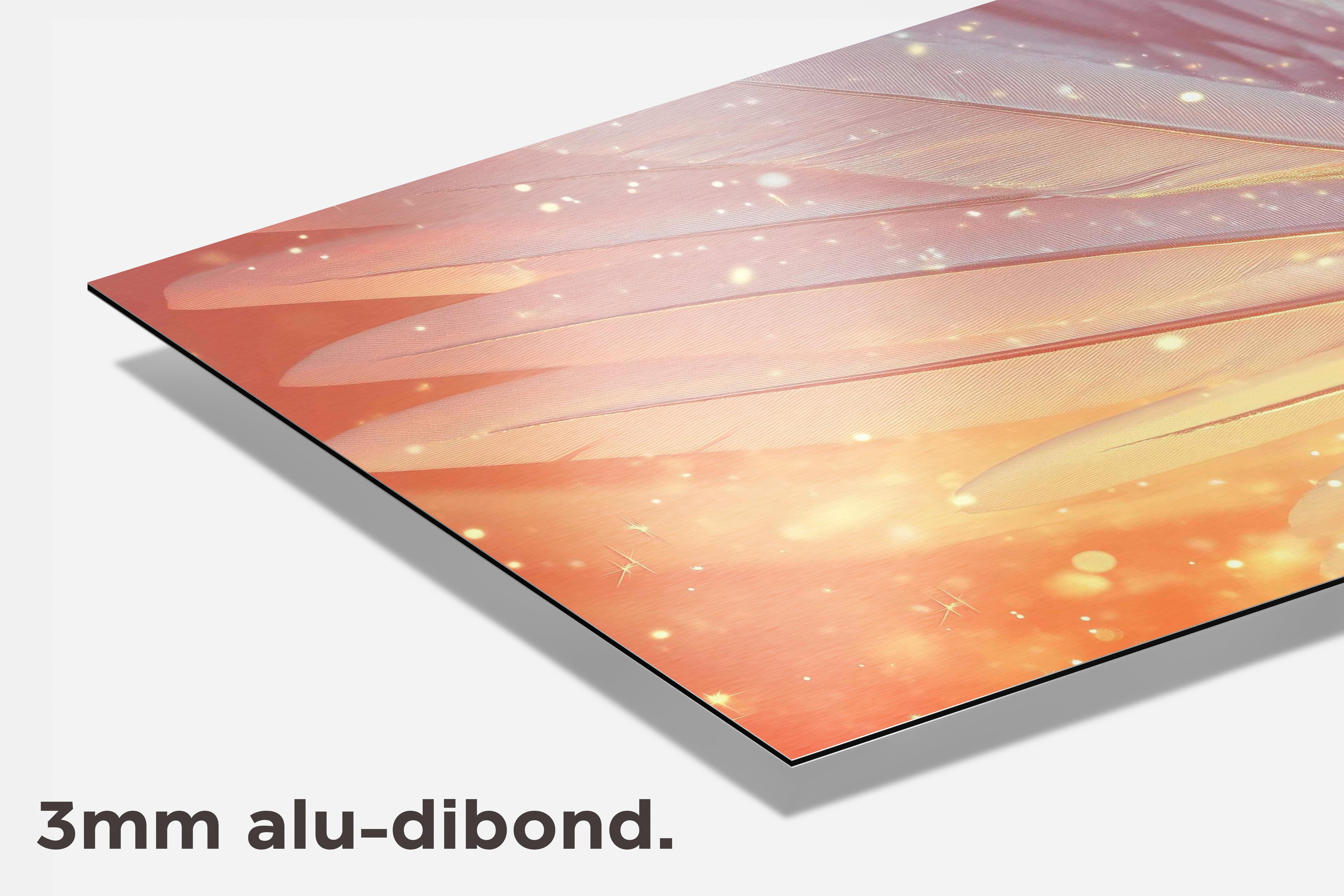 Engelenvleugels dibond detail