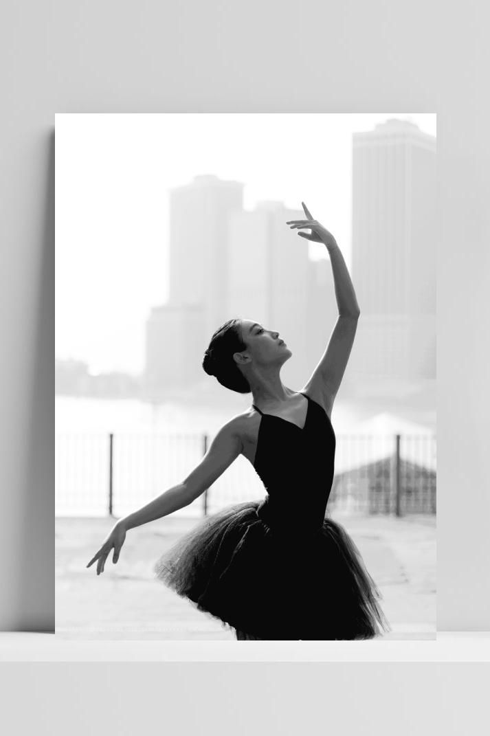 Ballerina Stad op 3mm aluminium dibond