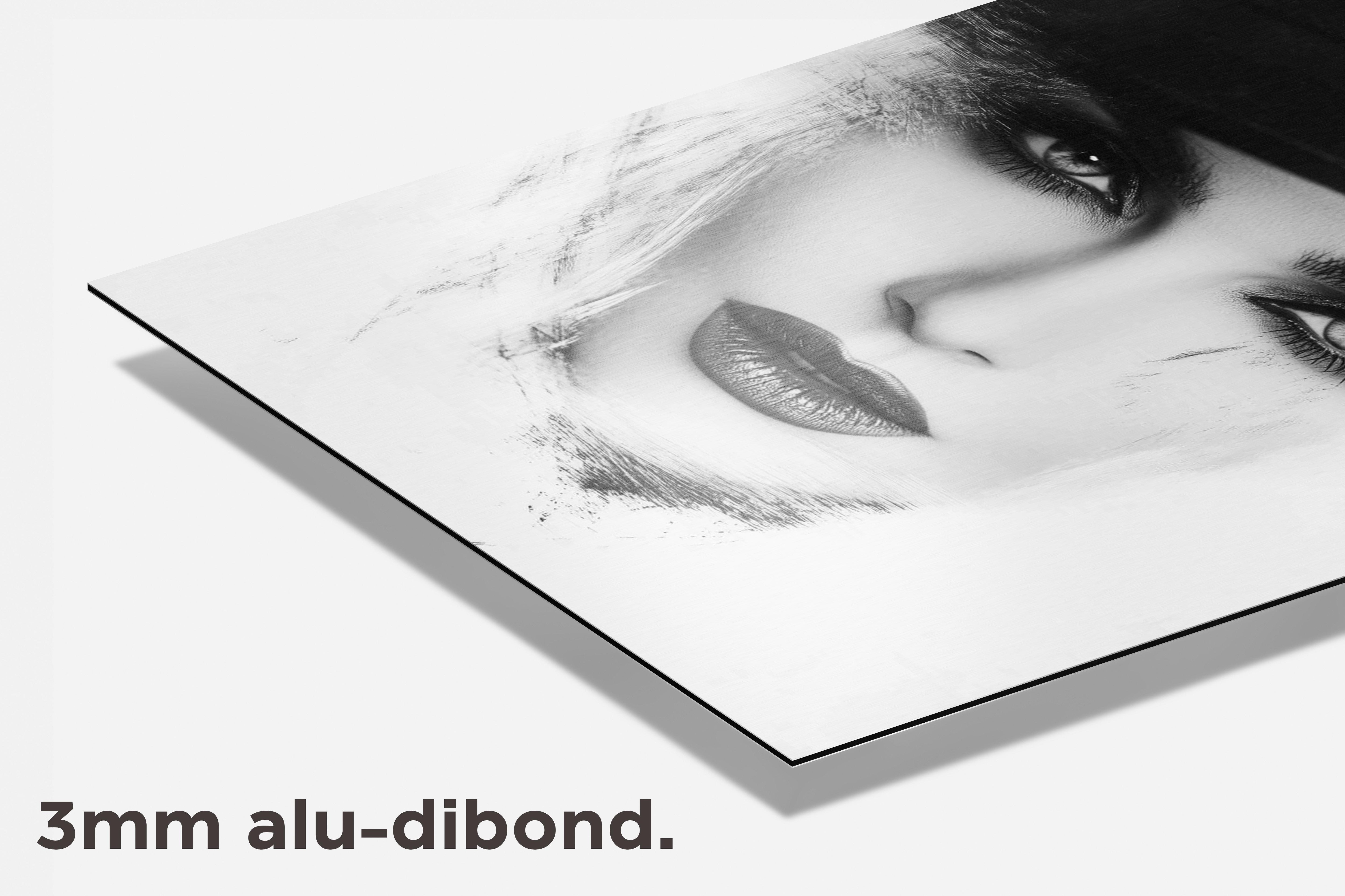 Madonna Vogue dibond detail