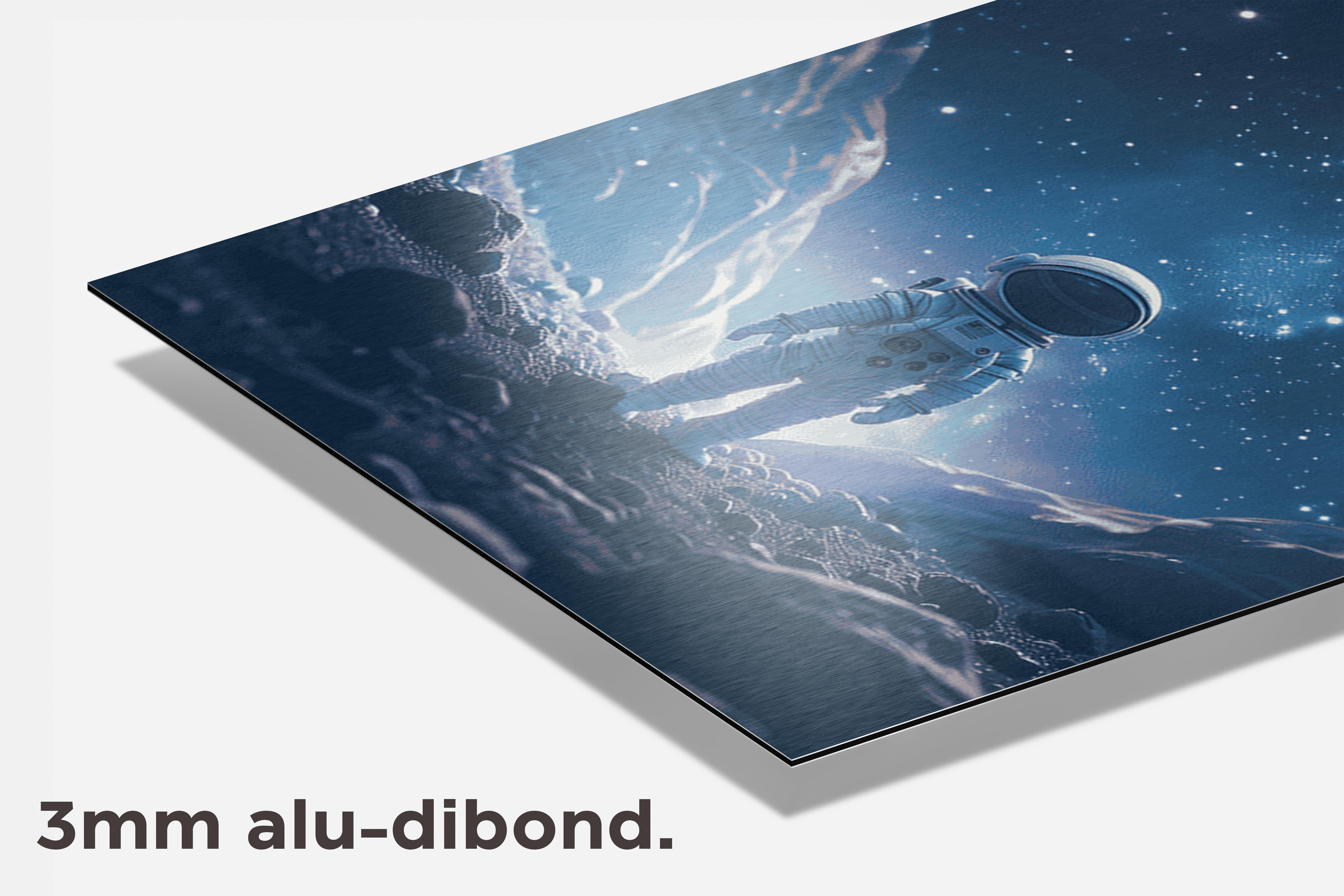 Astronaut dibond detail