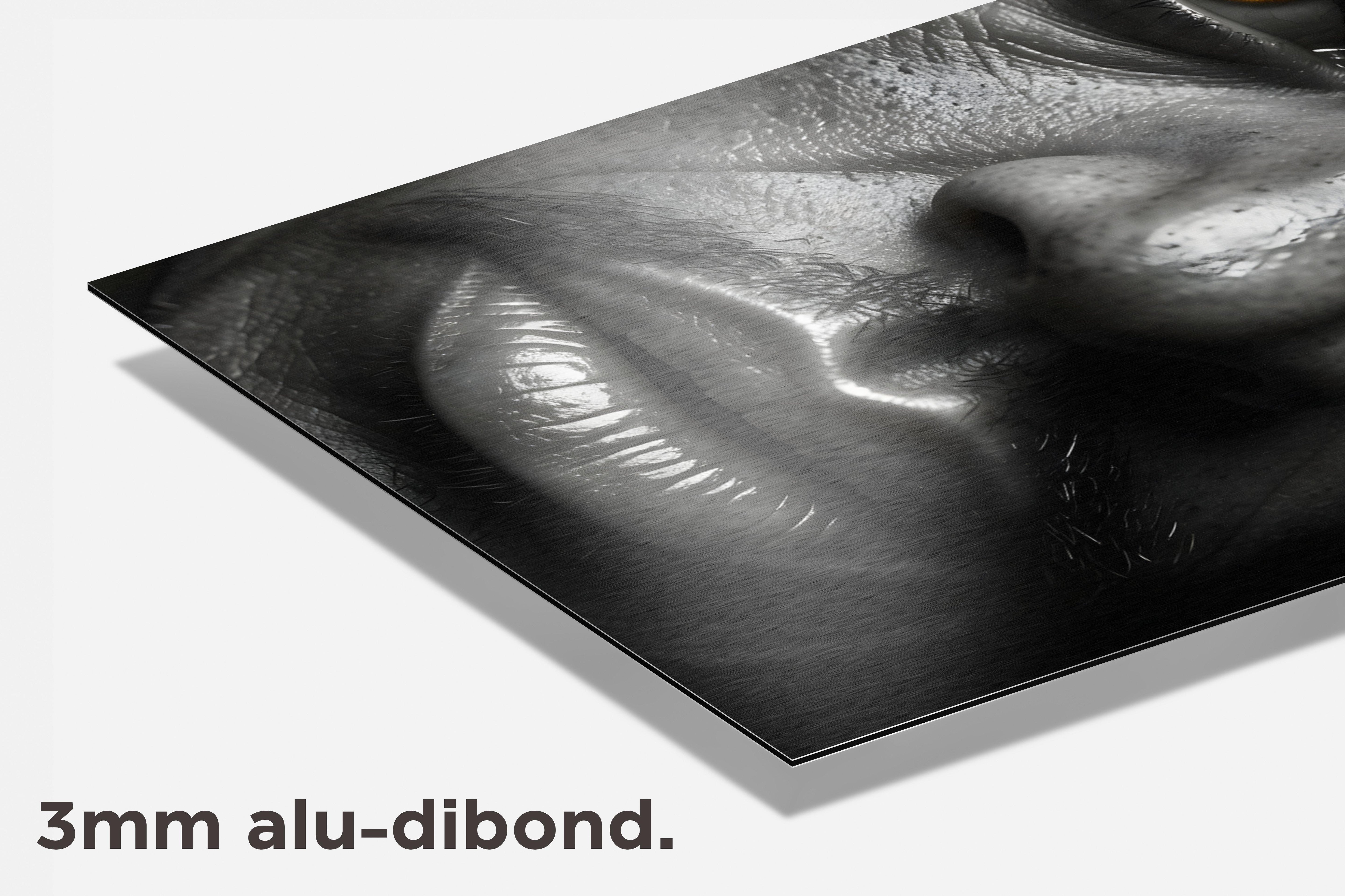 Gele Ogen dibond detail
