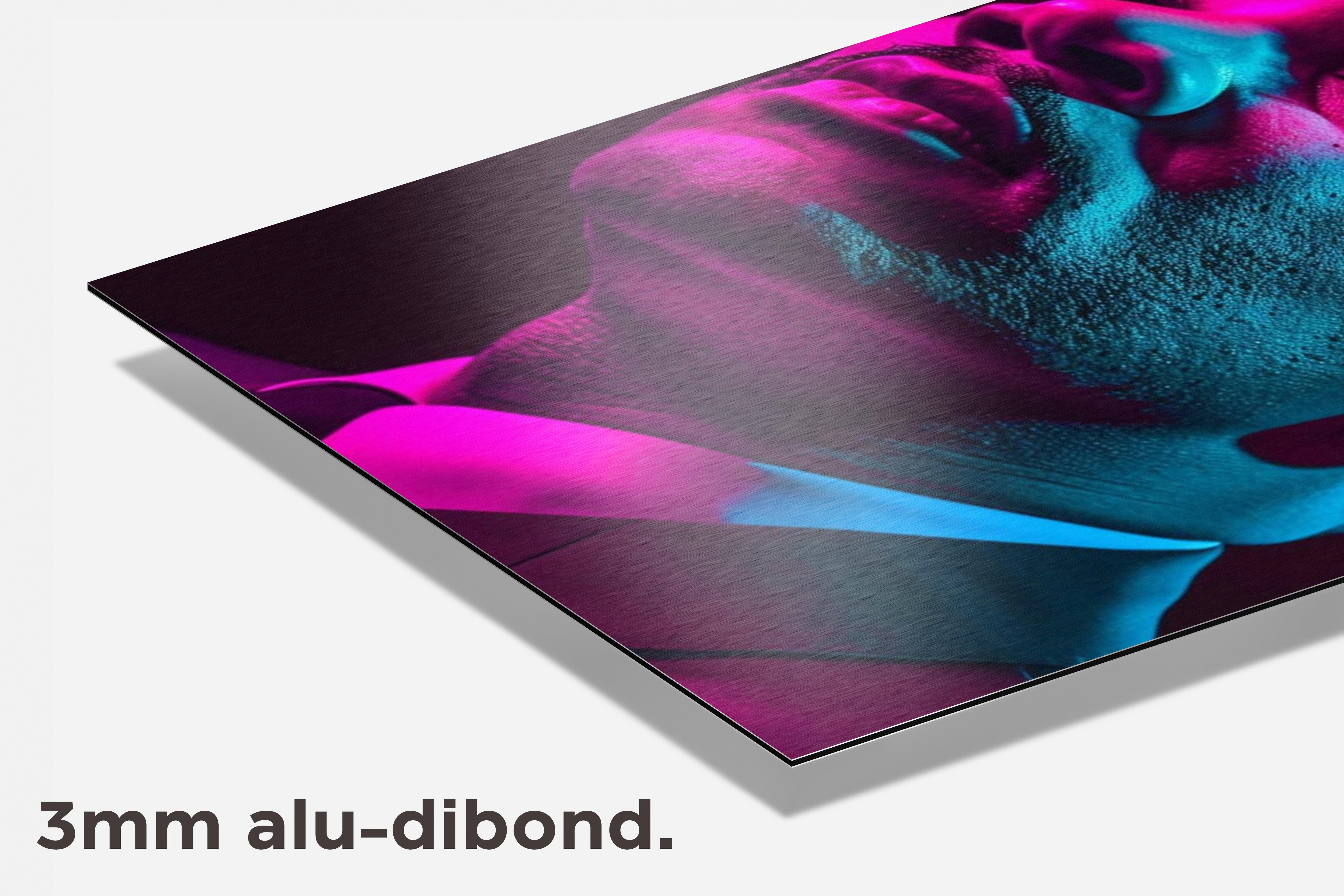 Martin Luther King Jr. dibond detail