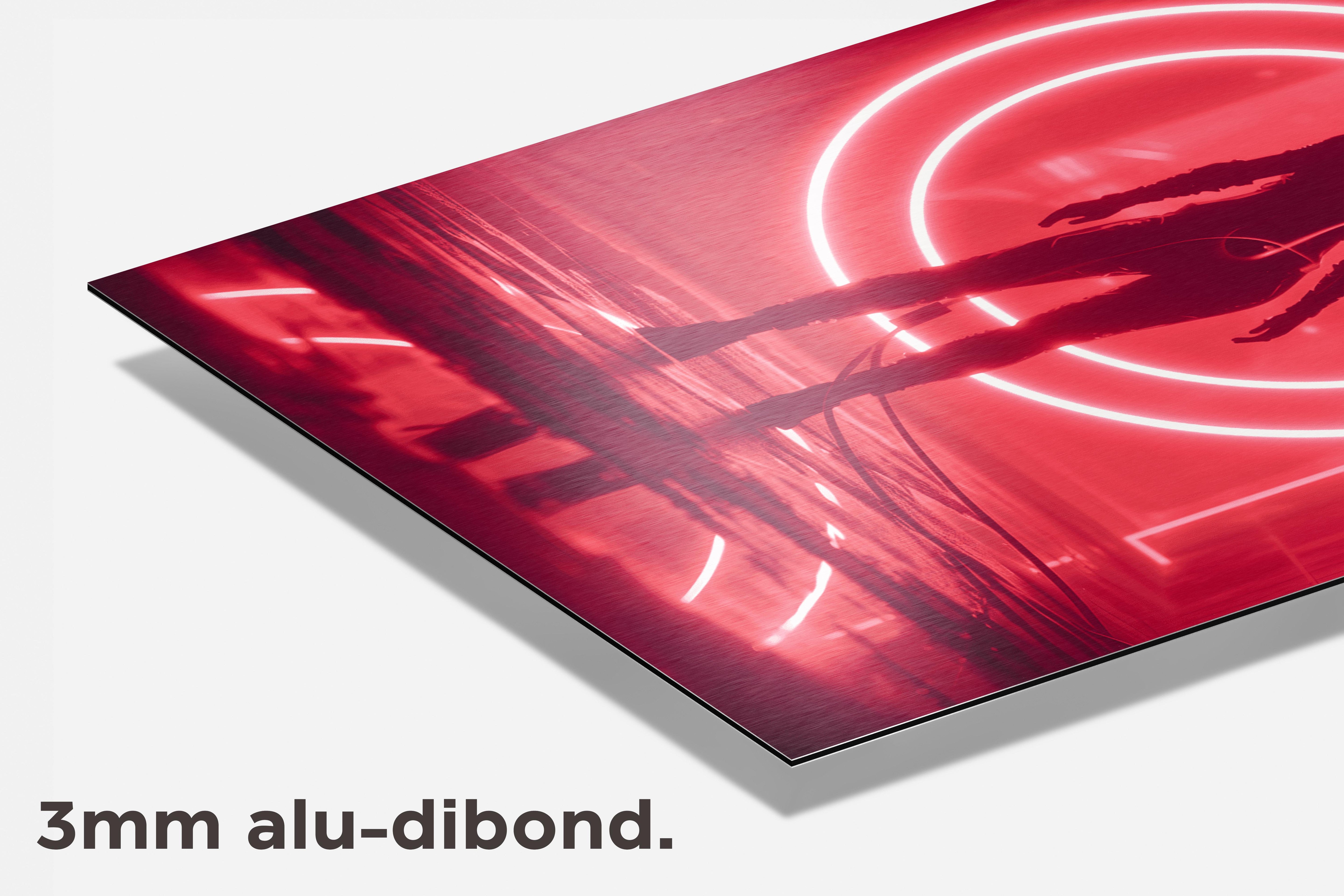 Rode Cirkel dibond detail