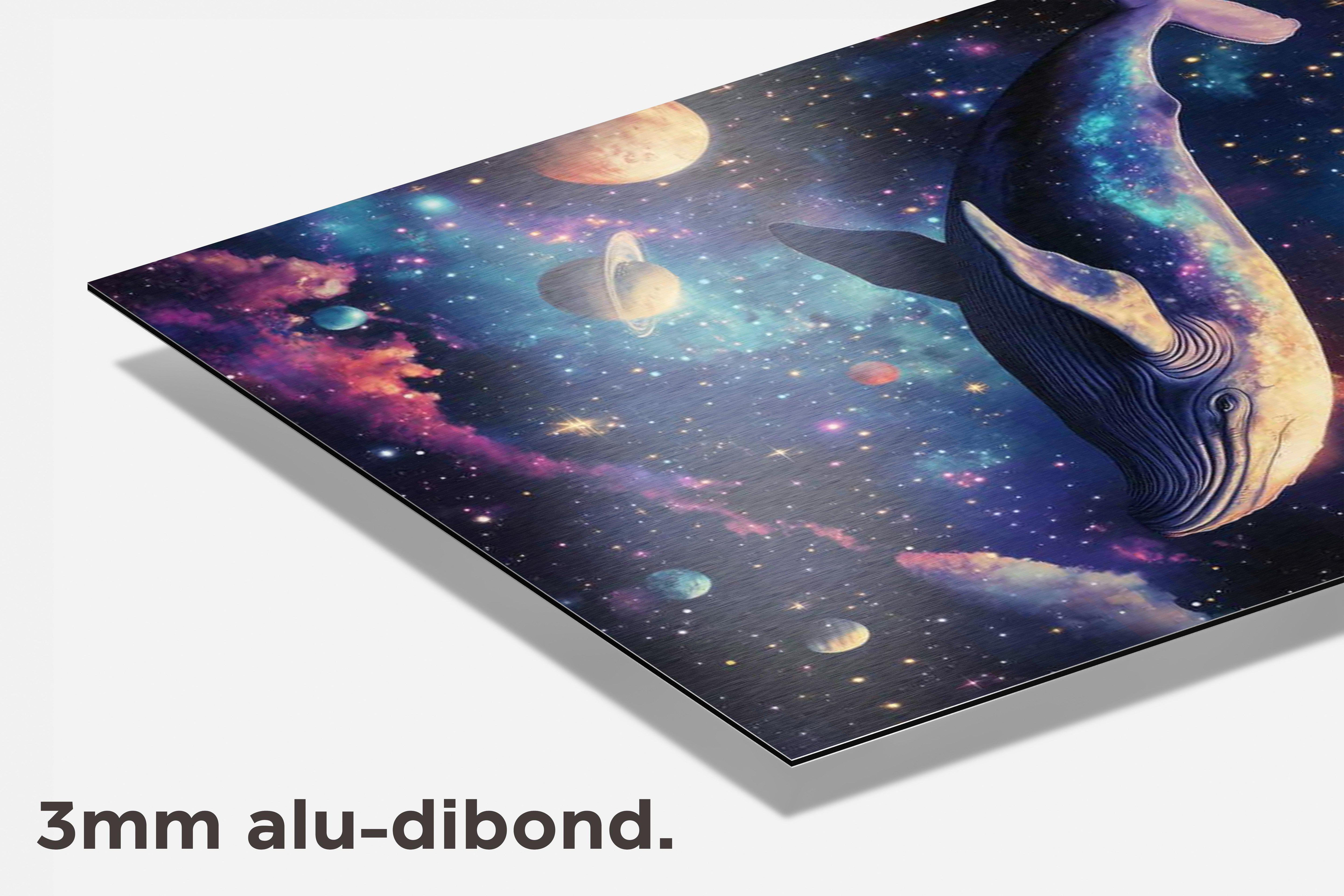 Walvis Heelal dibond detail