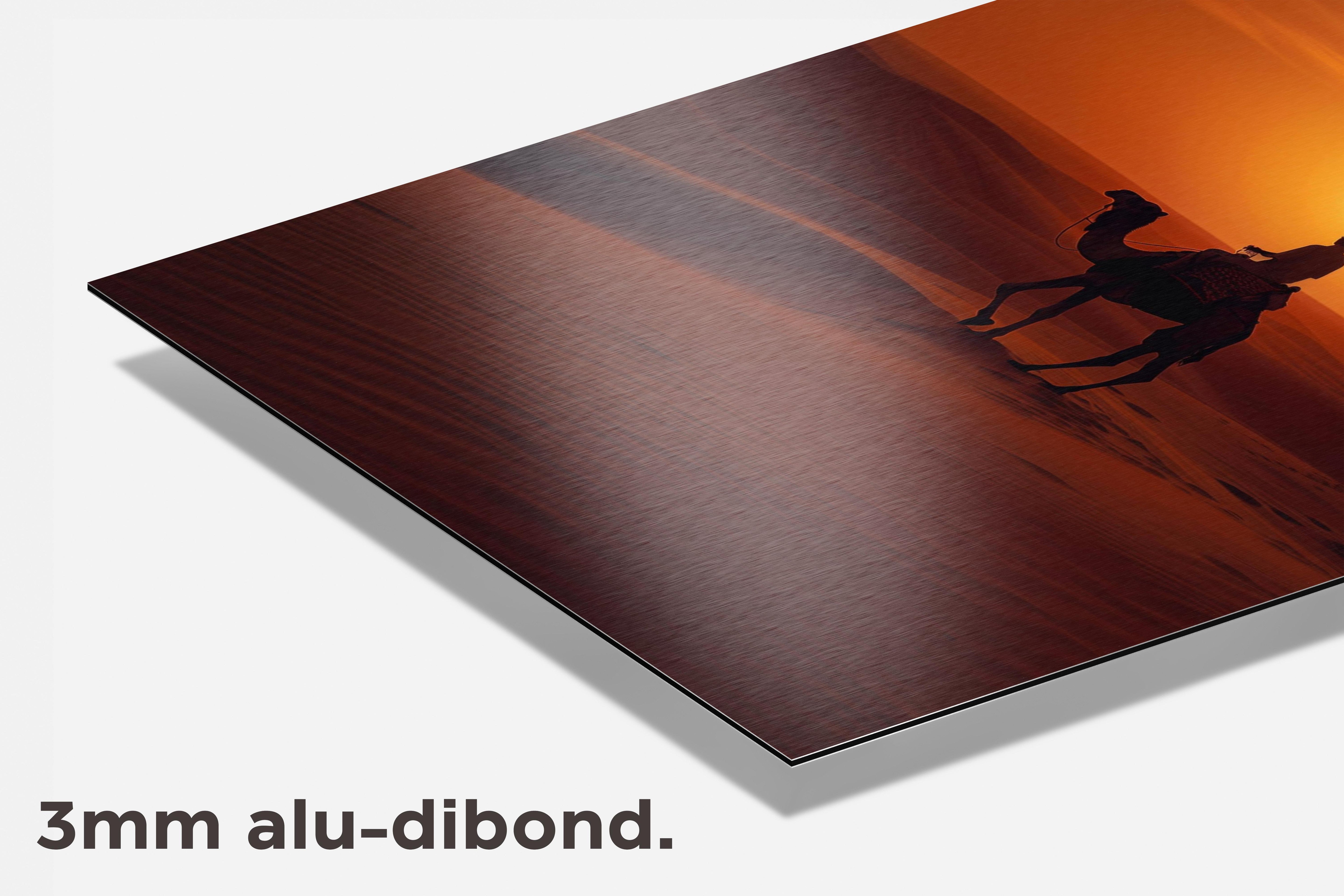 Woestijnkameel dibond detail