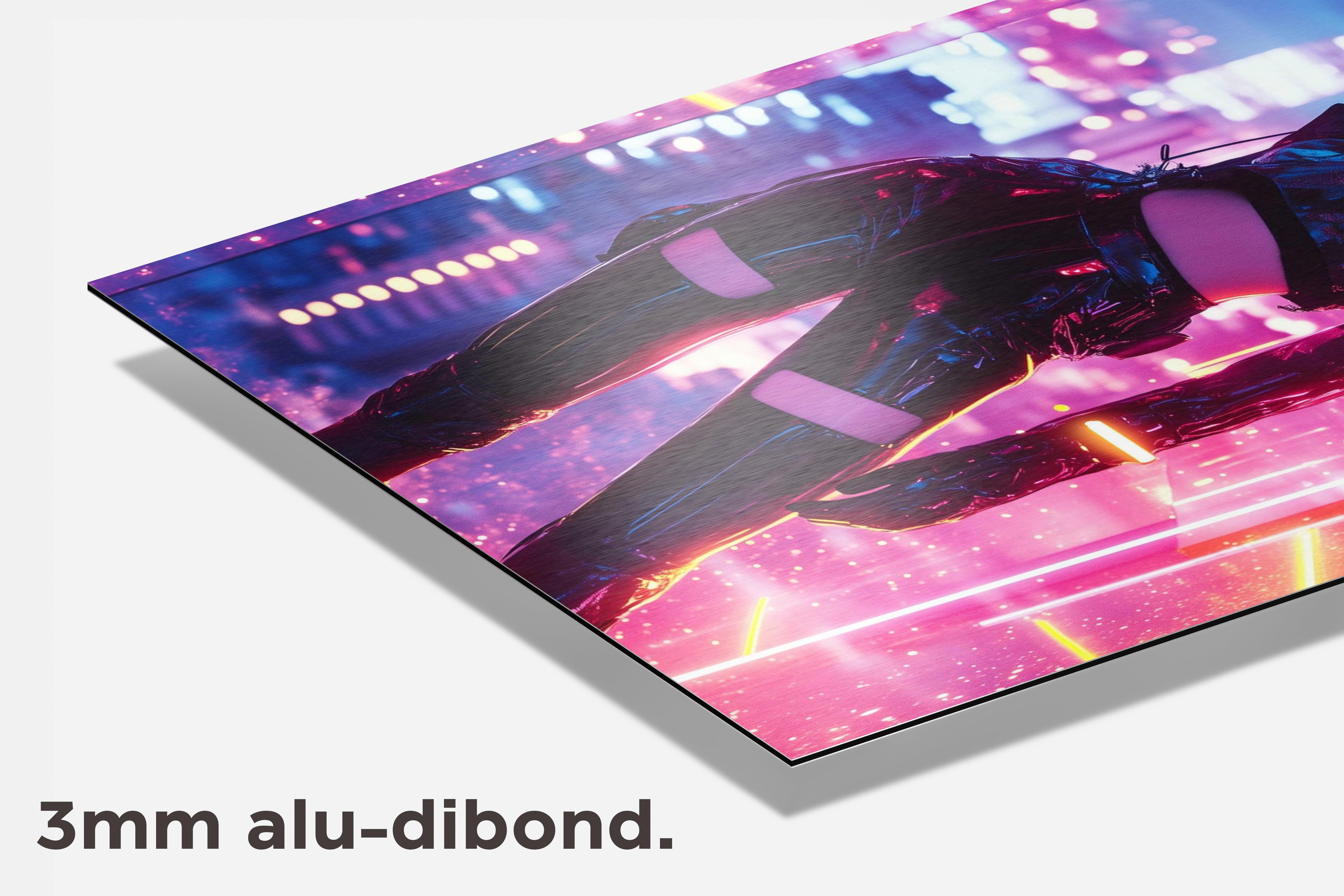 Vrouw Mode dibond detail