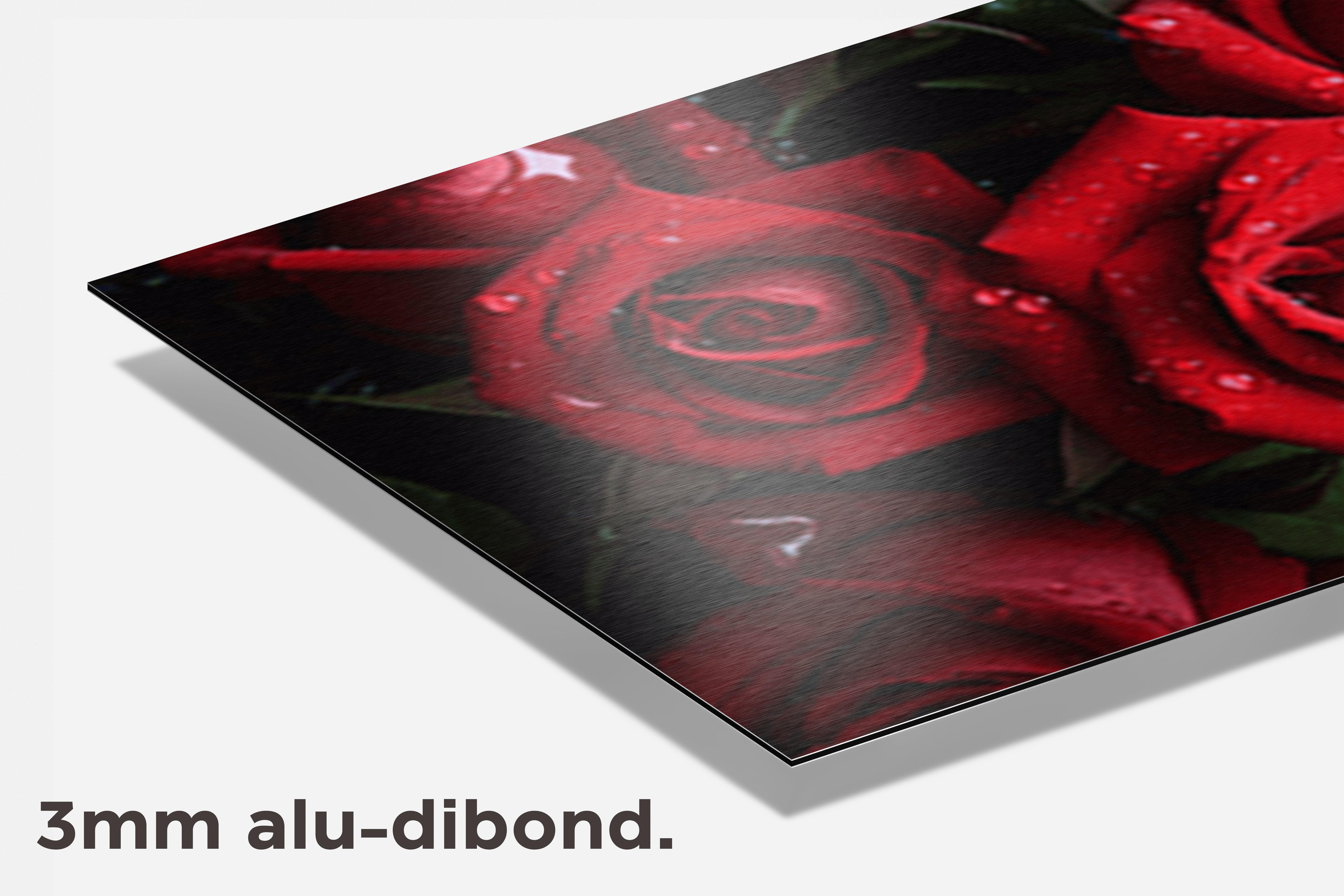 Rozenstruik dibond detail