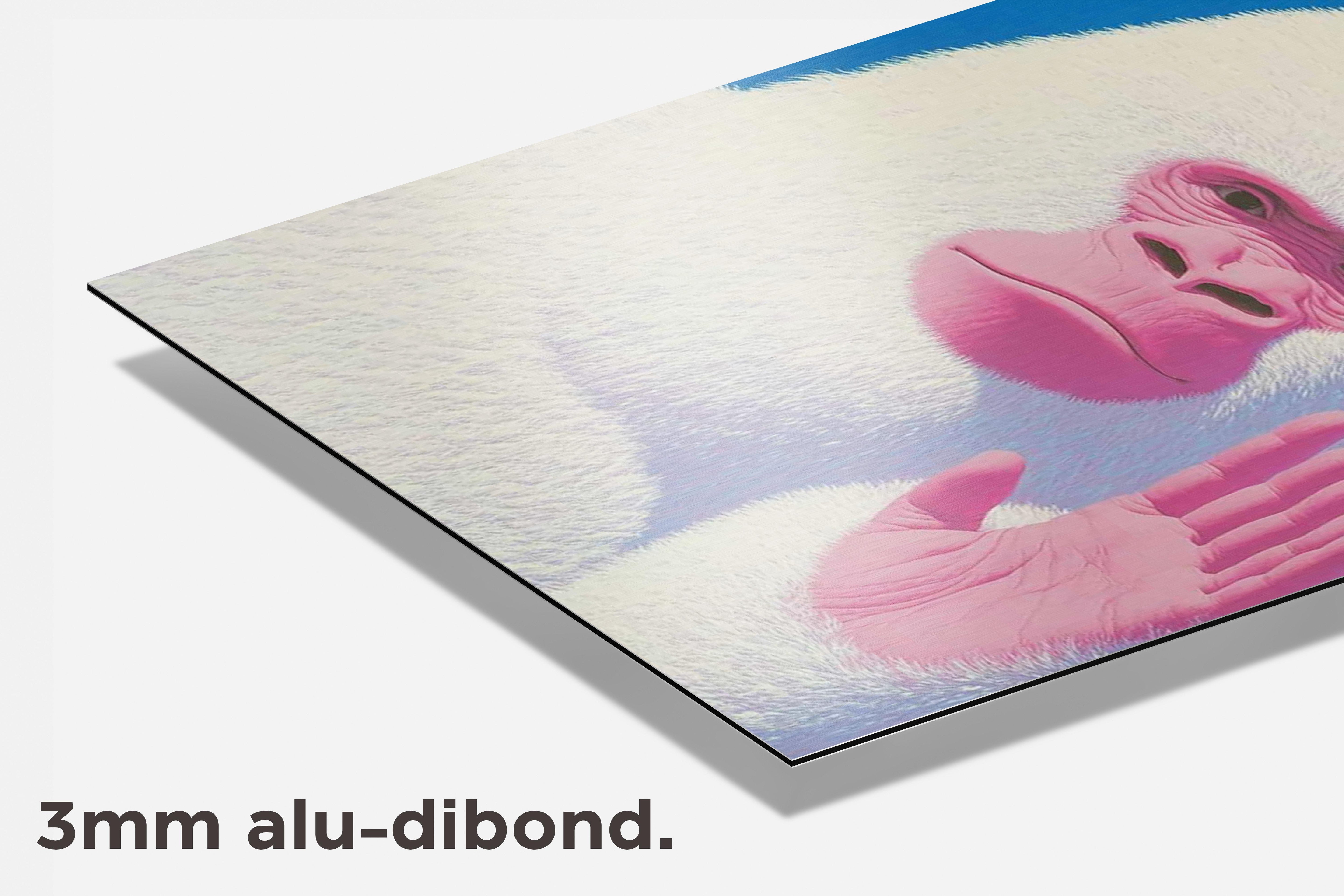 Witte Aap dibond detail