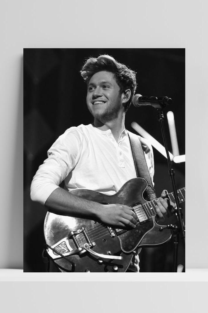 Niall Horan Zwart Wit op 3mm aluminium dibond