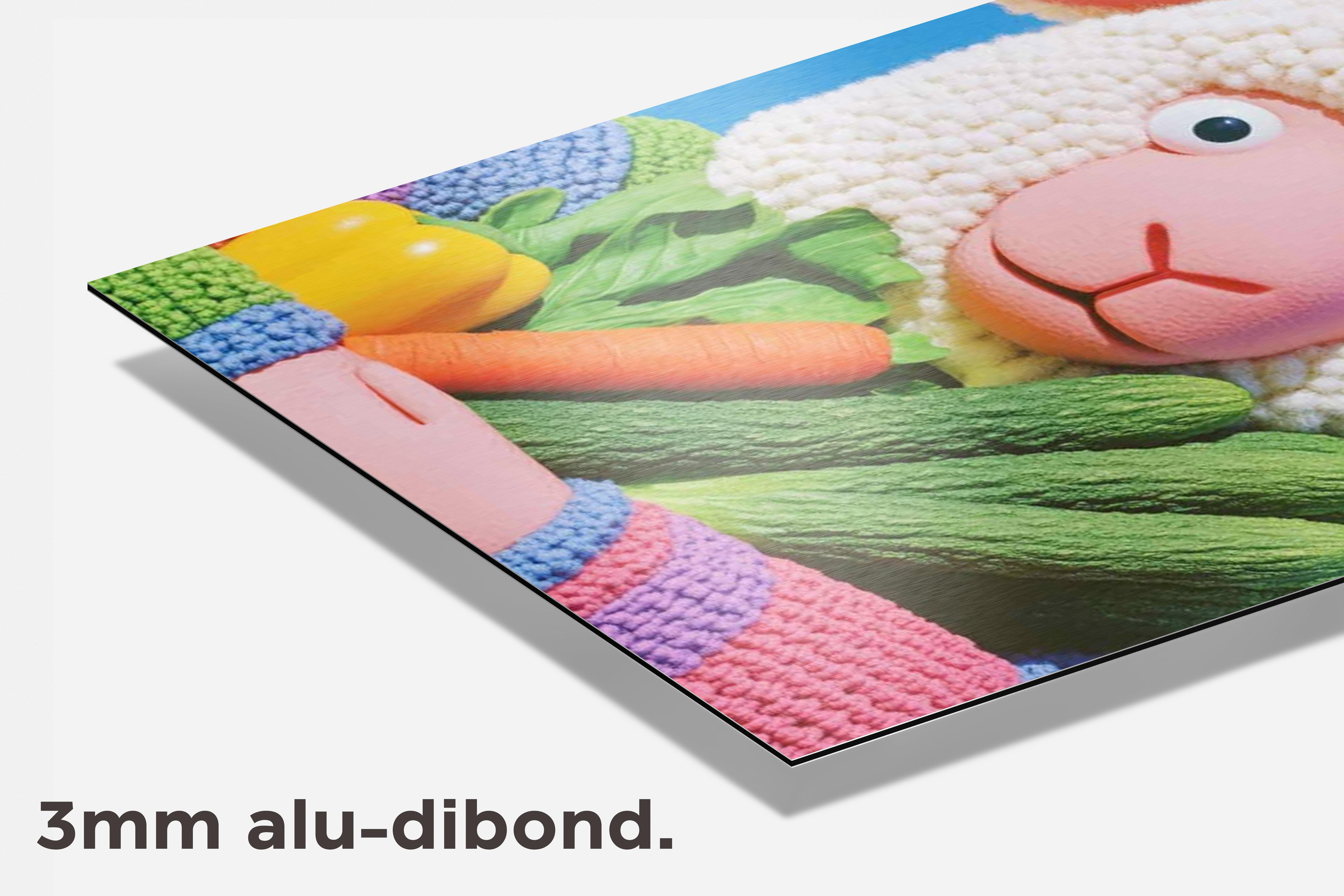 Schaap dibond detail