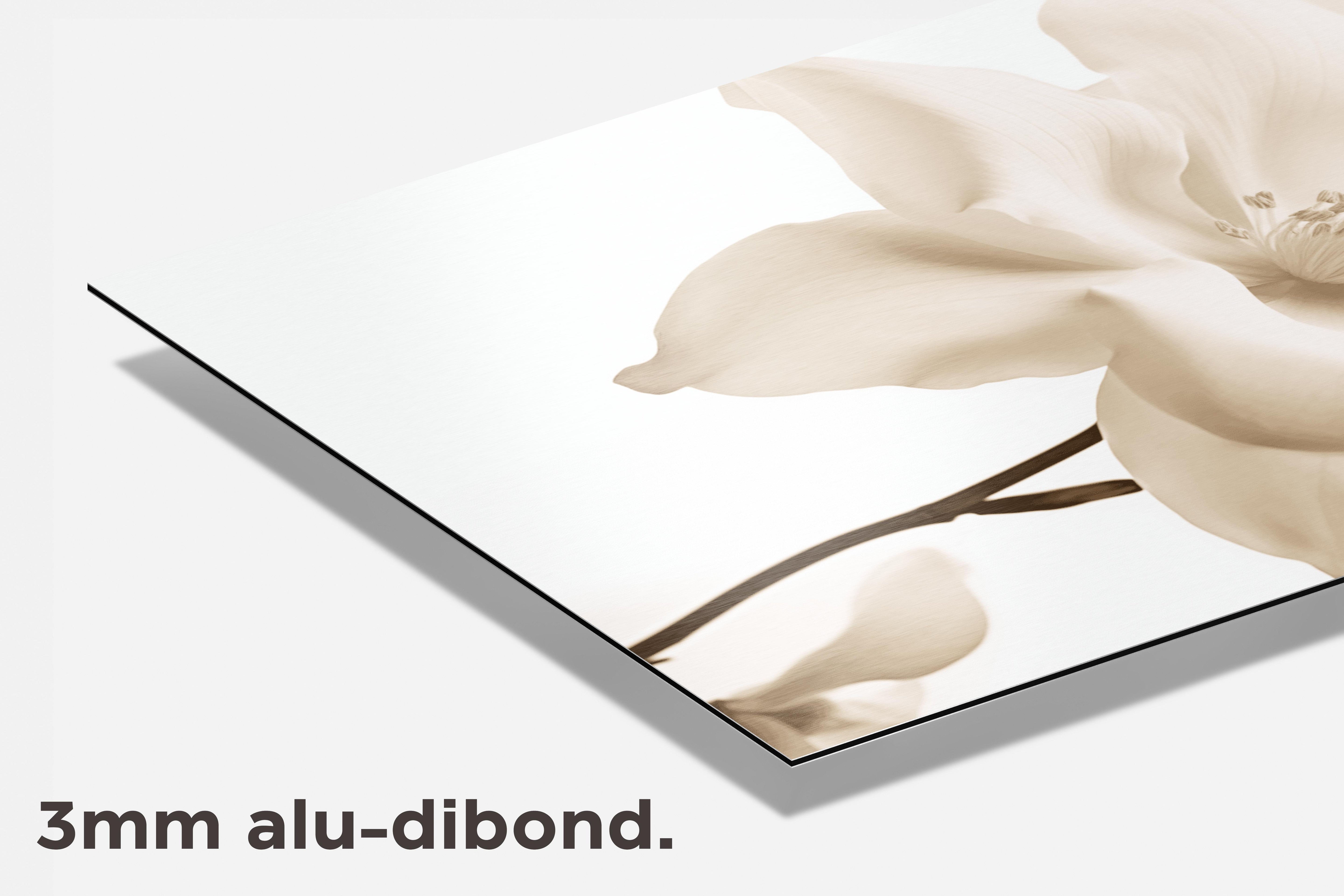 Witte Bloem dibond detail