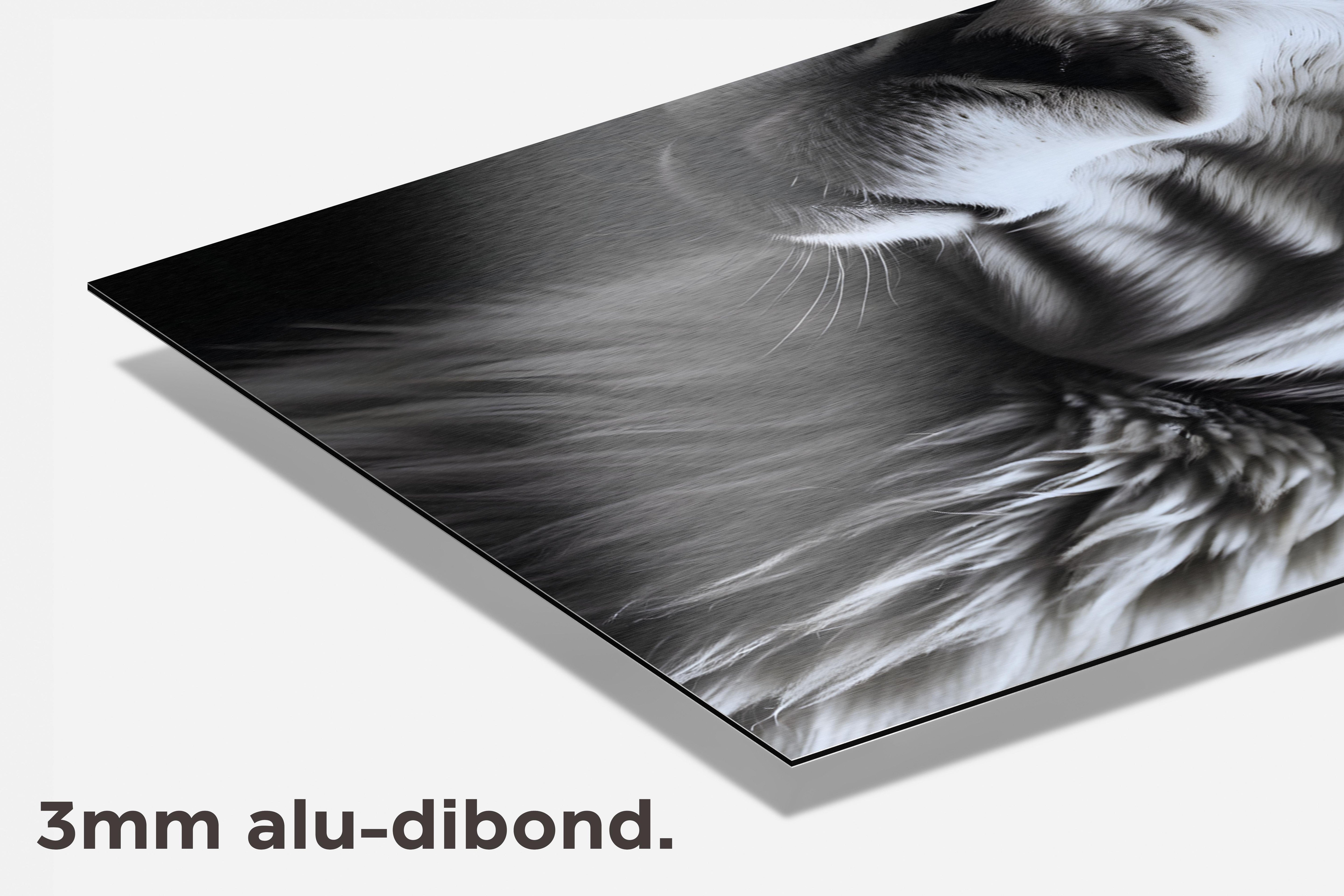 Lama Zwart Wit dibond detail