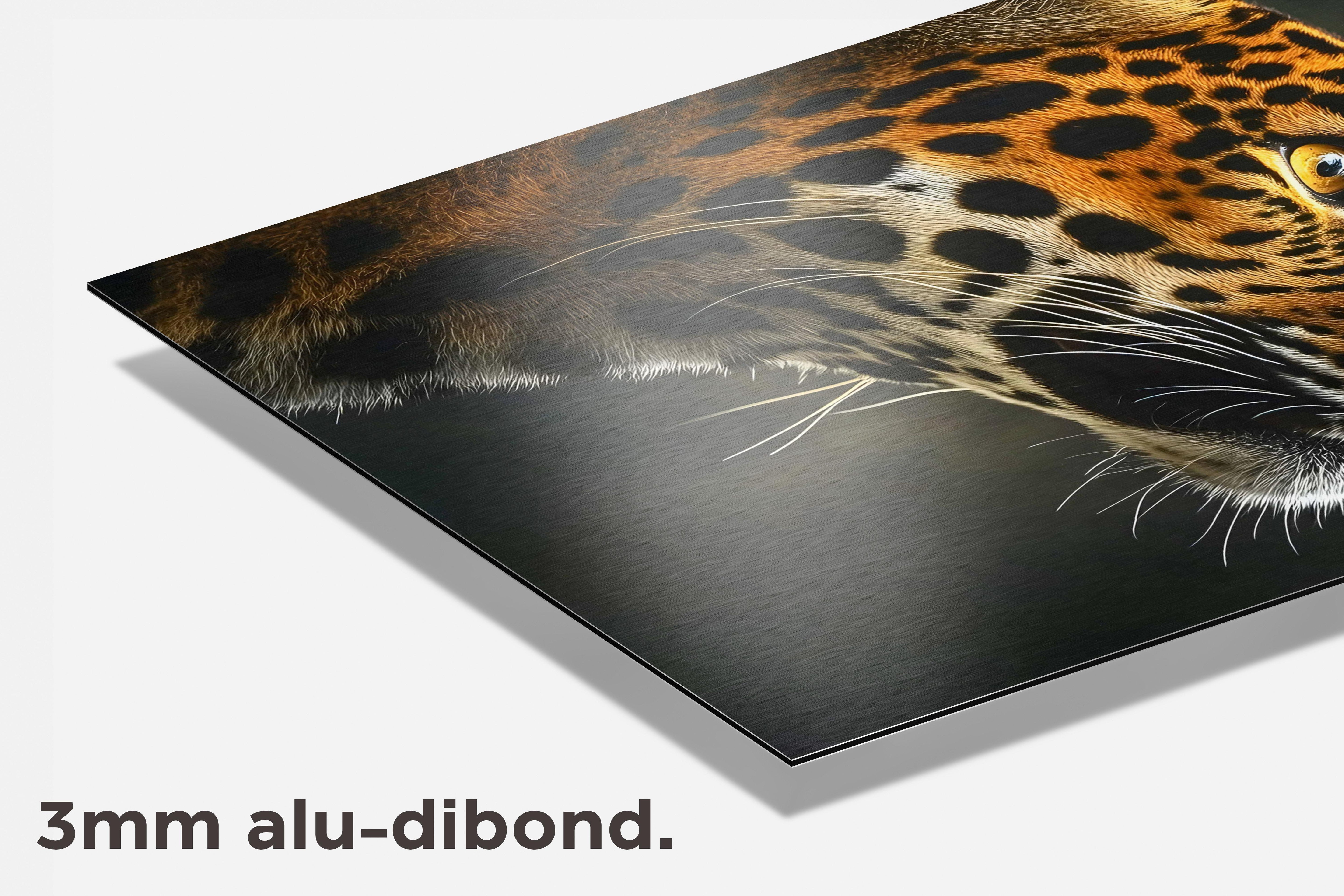 Jaguar Kijkt Omhoog dibond detail