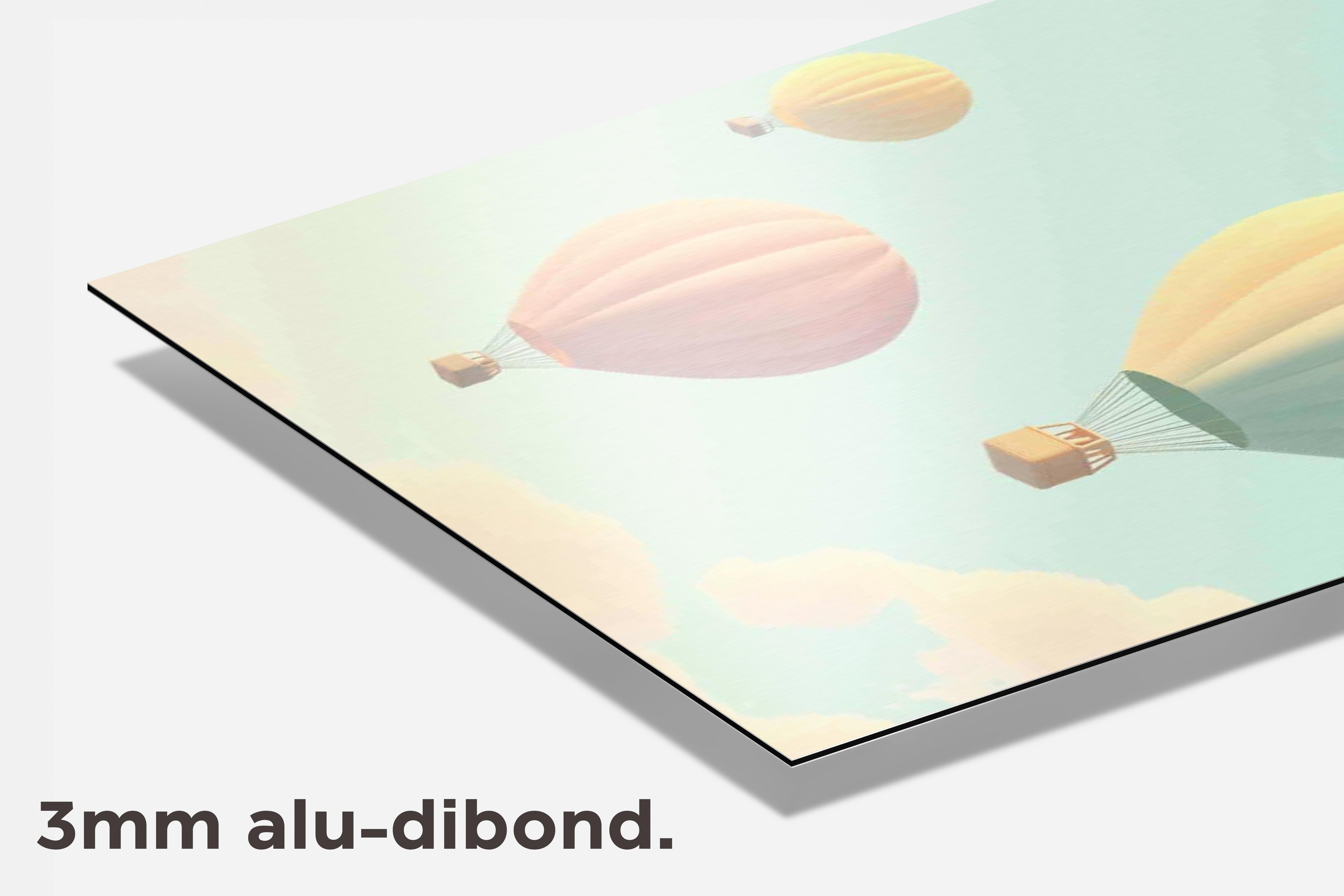 Pastel Luchtballonnen dibond detail