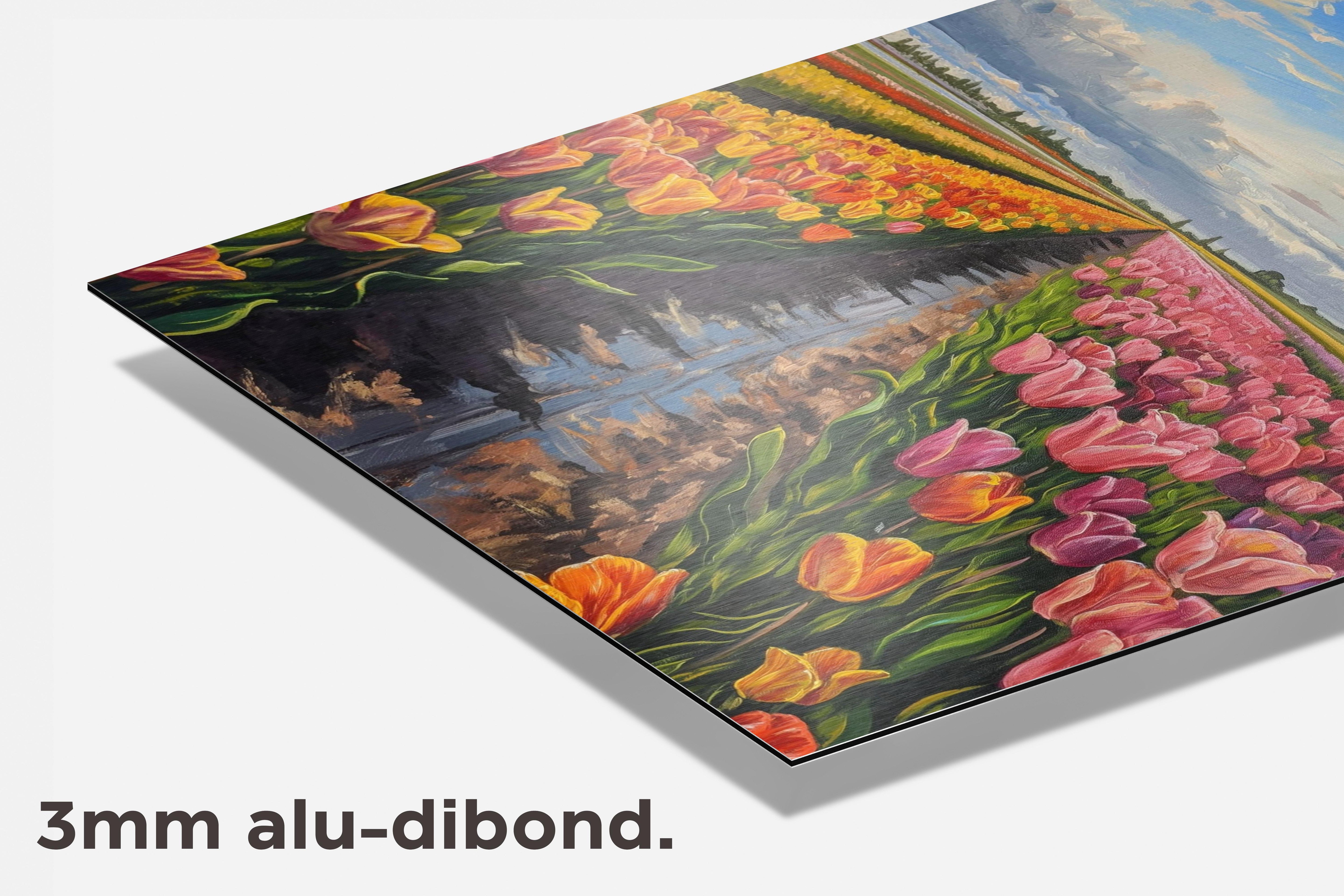 Tulpenveld dibond detail