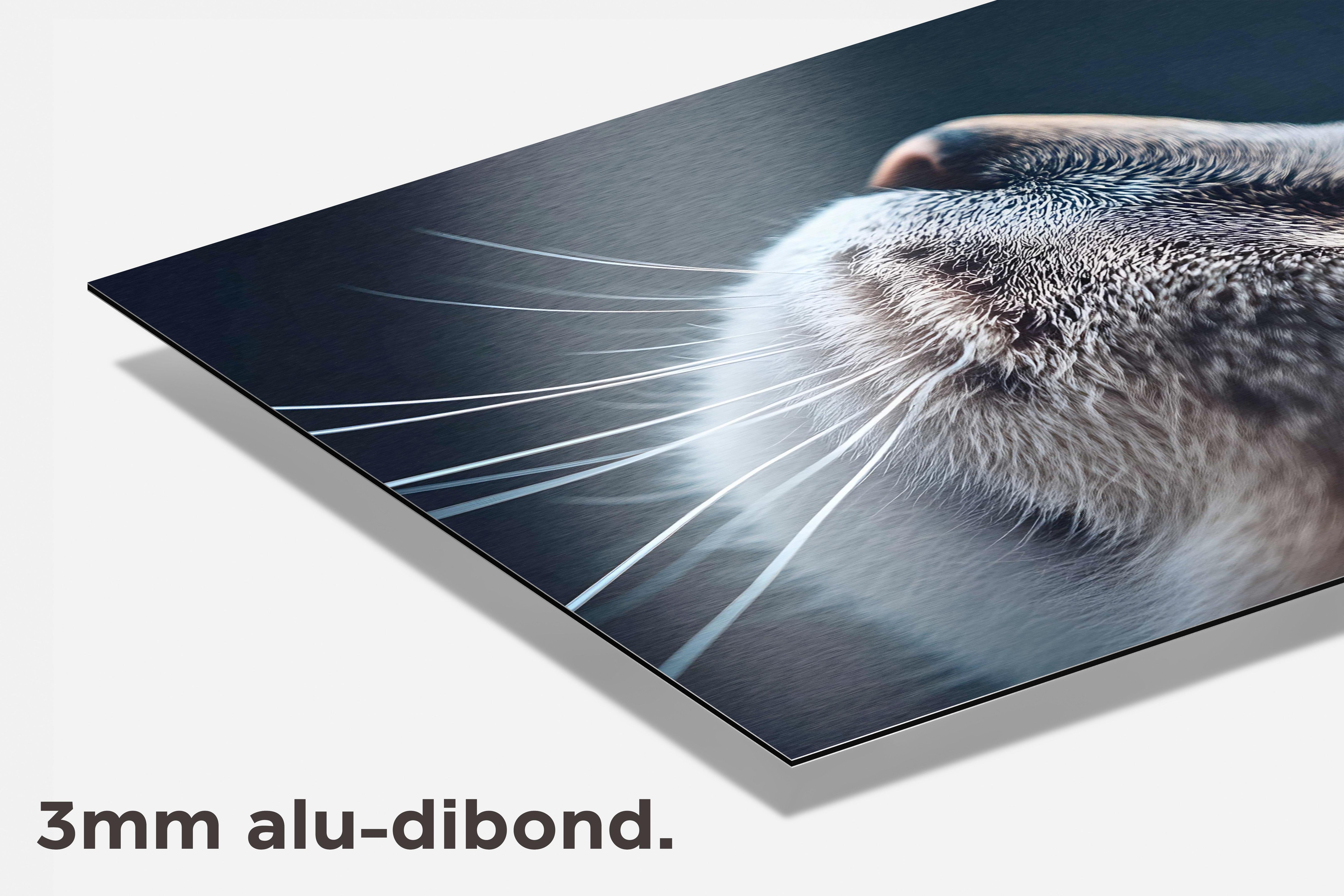 Kat Close-Up dibond detail