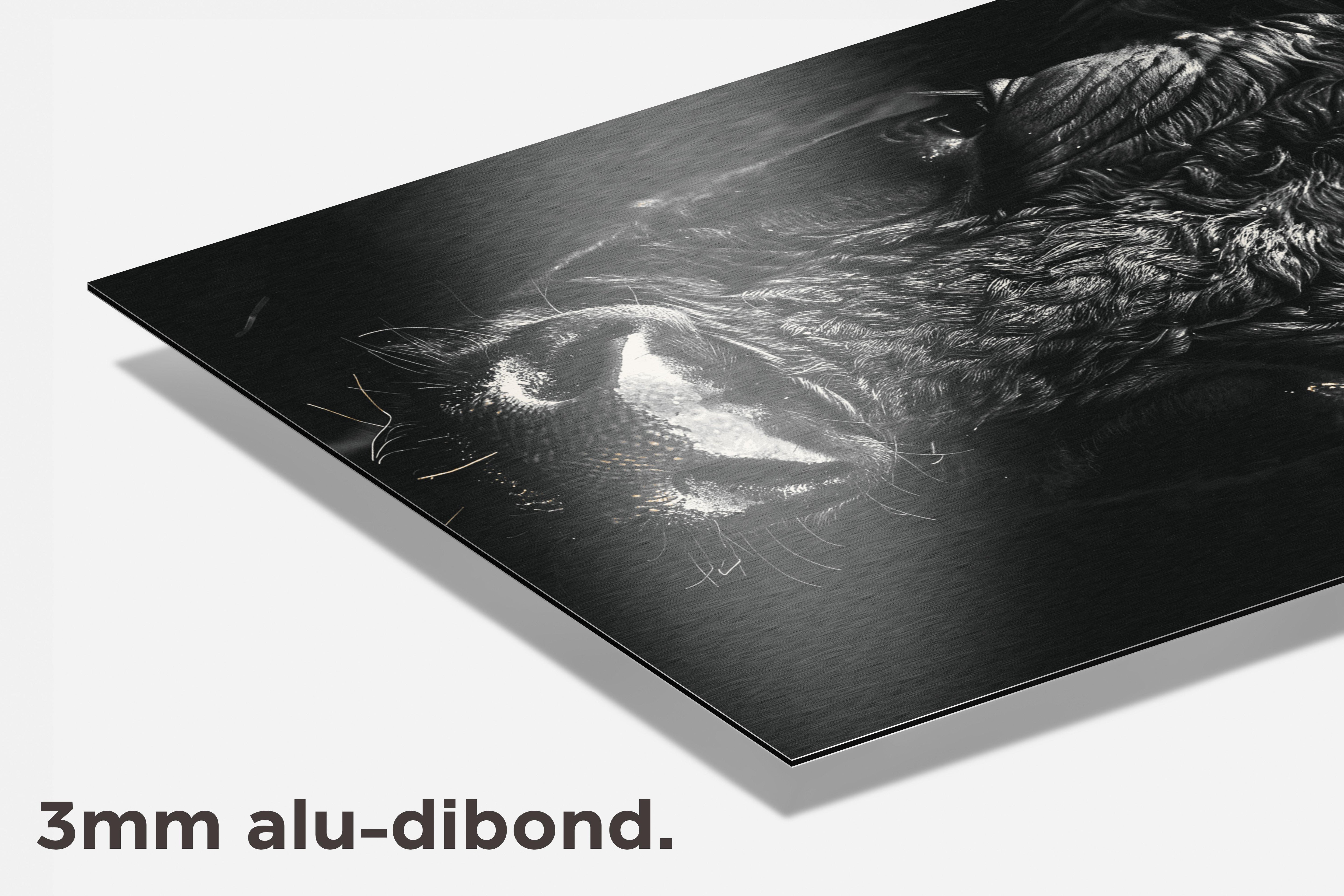 Stier Close-up dibond detail