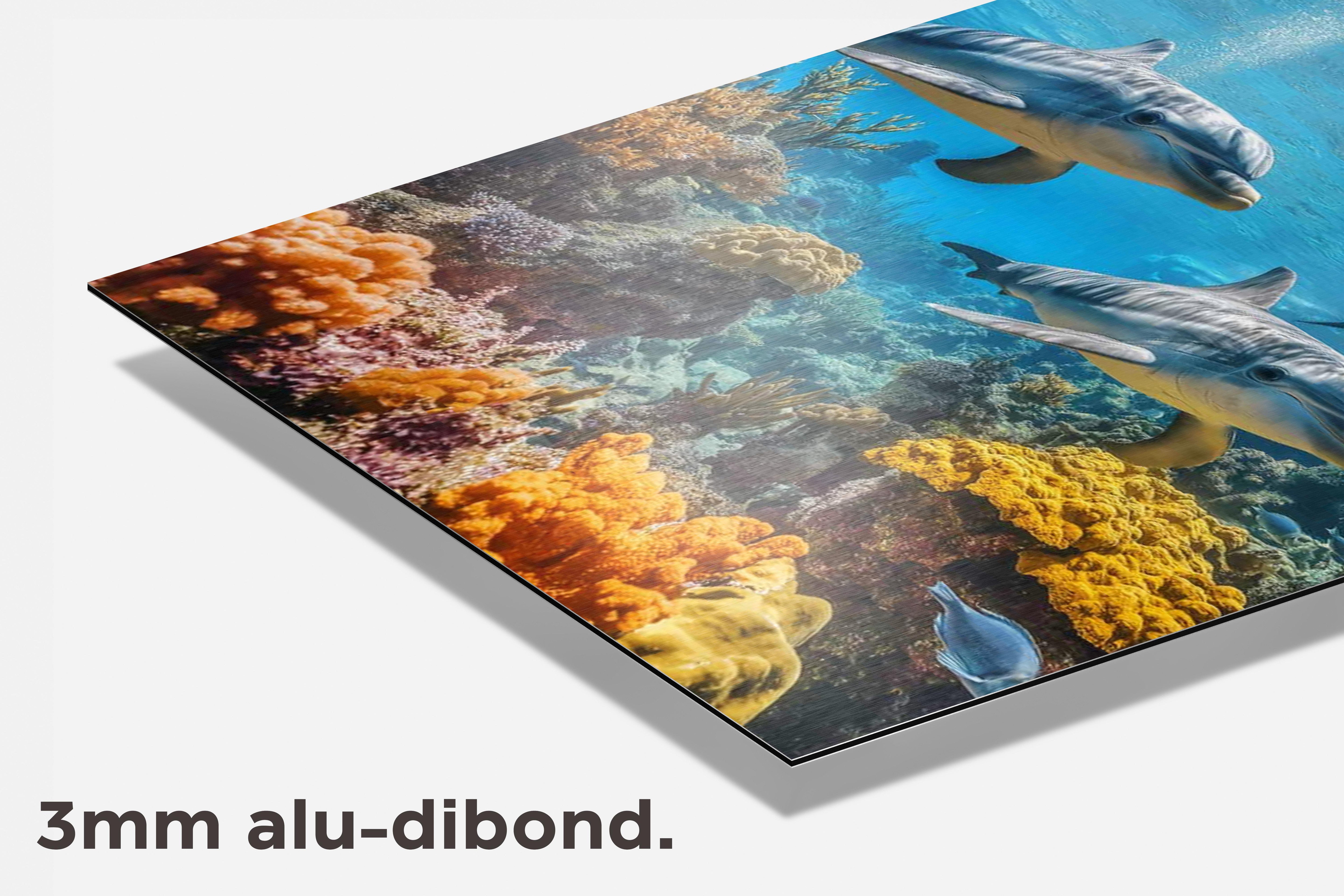 Dolfijnen Koraalrif dibond detail