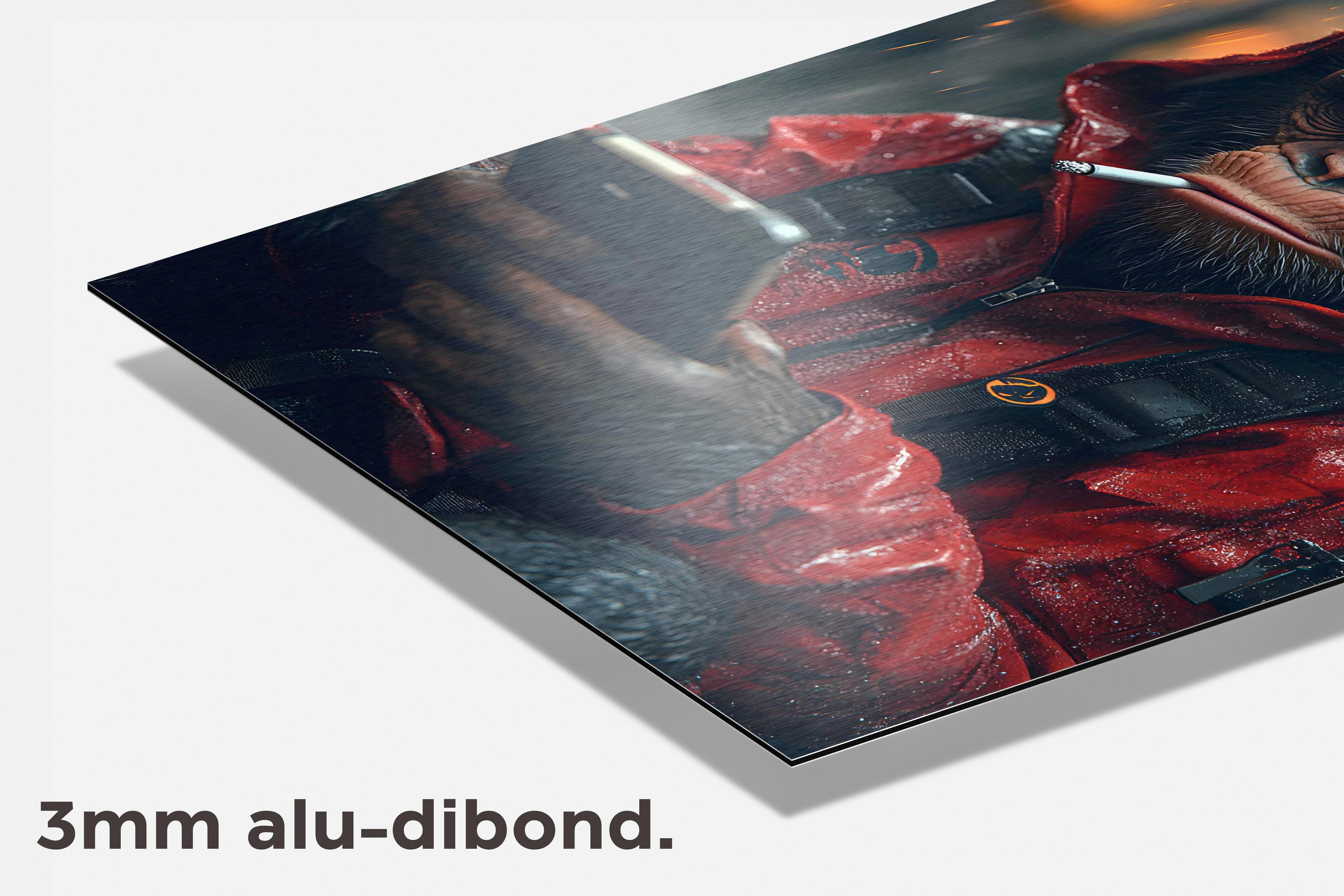 Coole Aap dibond detail