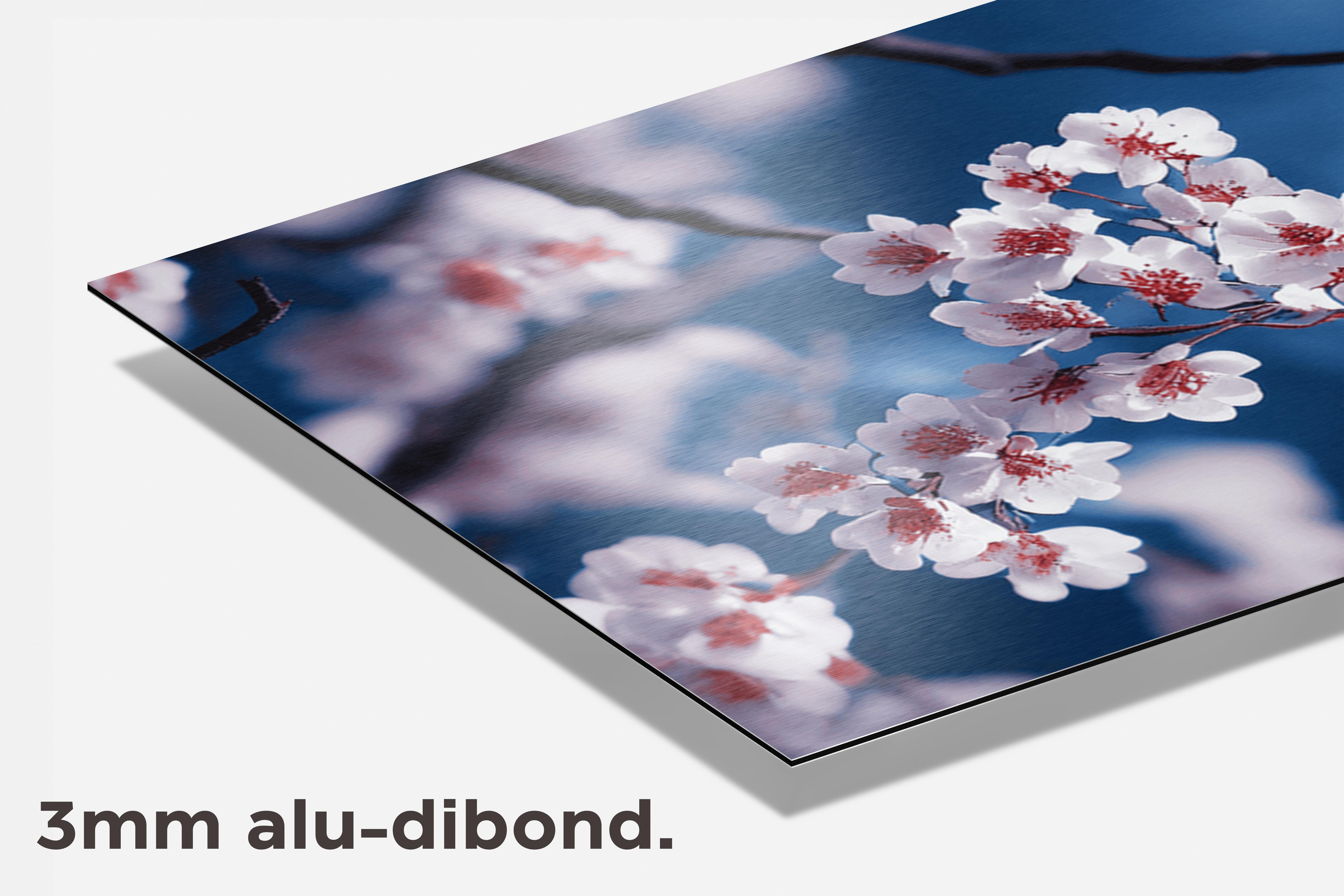Bloesem in Spring dibond detail