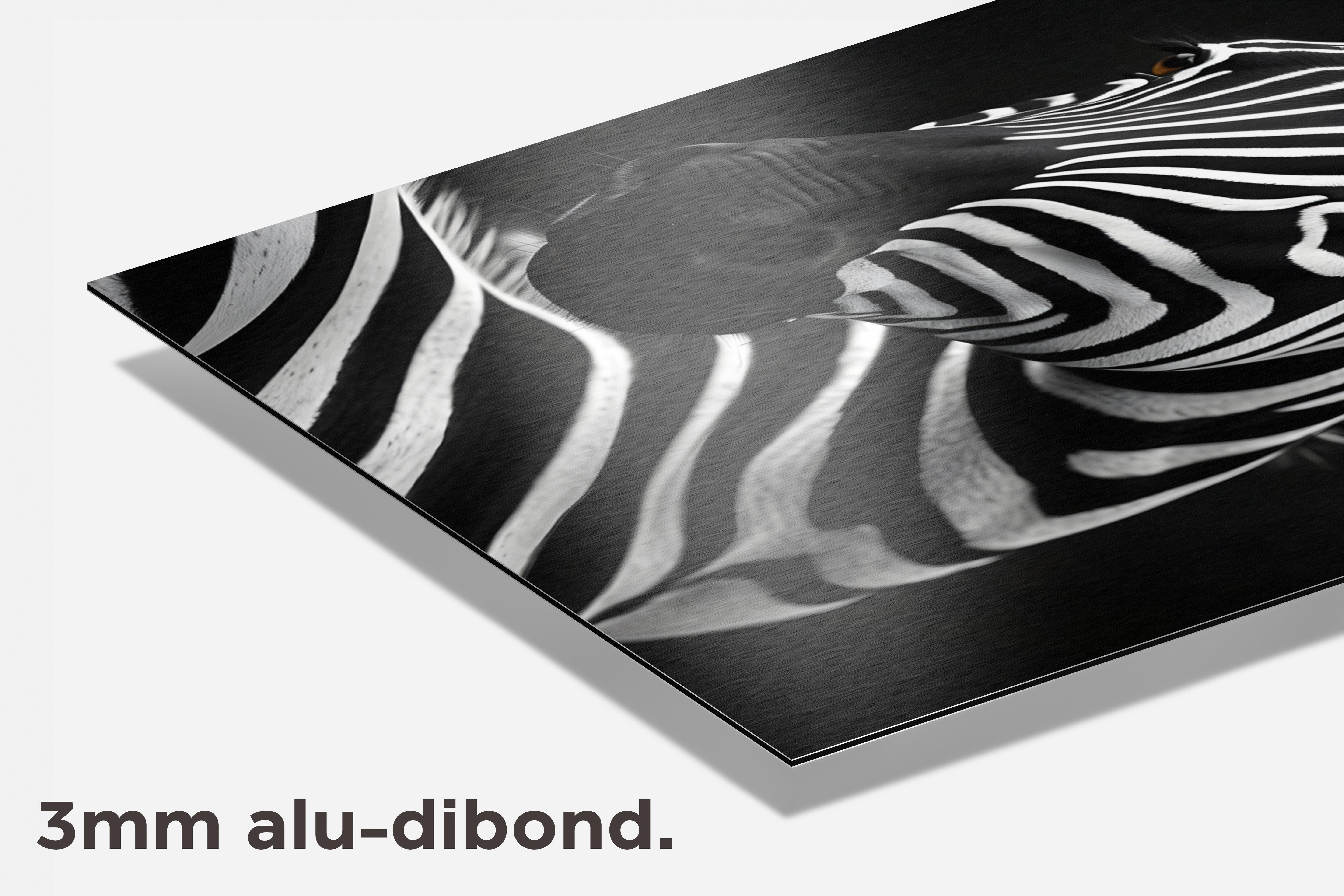 Zebra Zwart Wit dibond detail