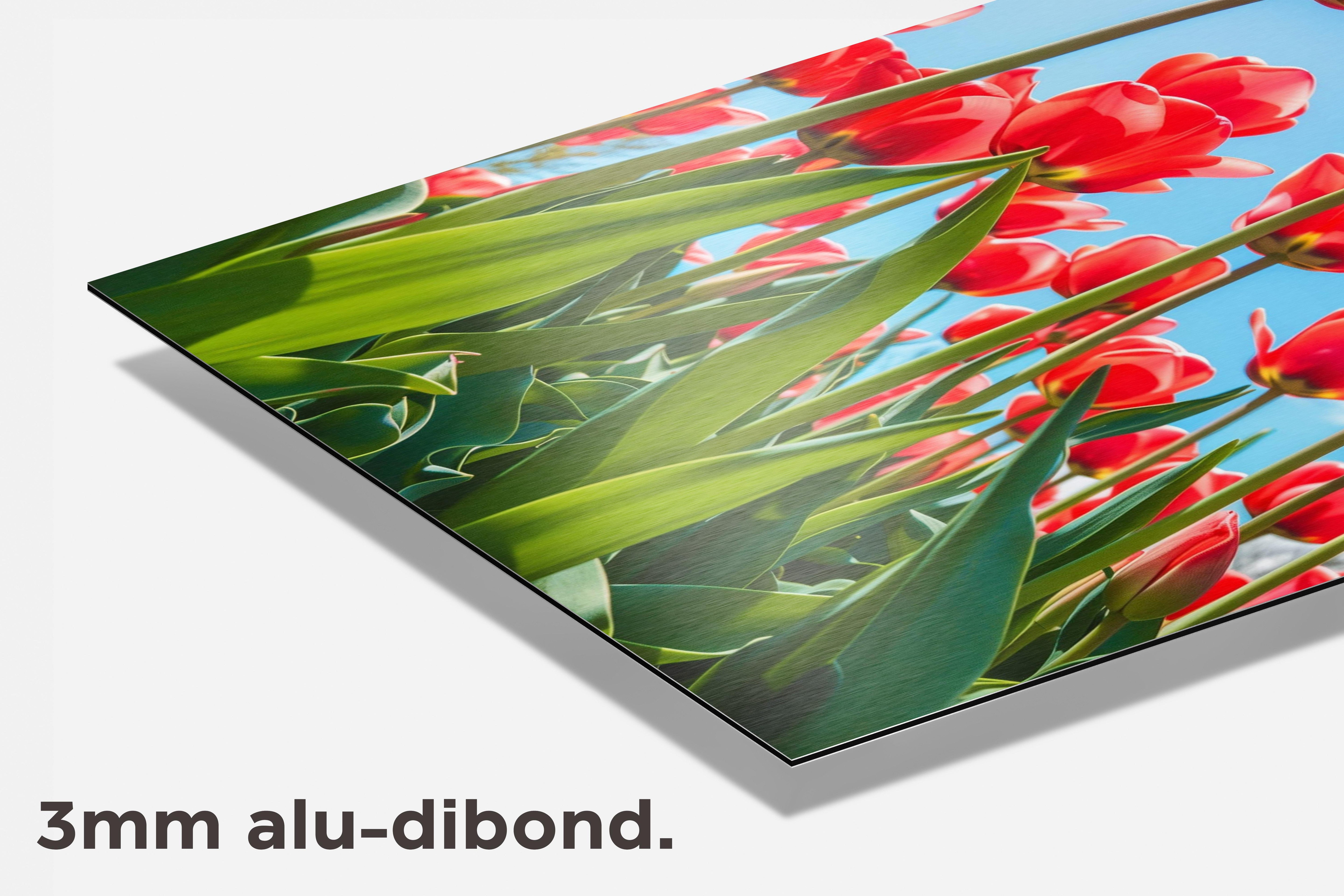 Tulpen Blauwe Lucht dibond detail