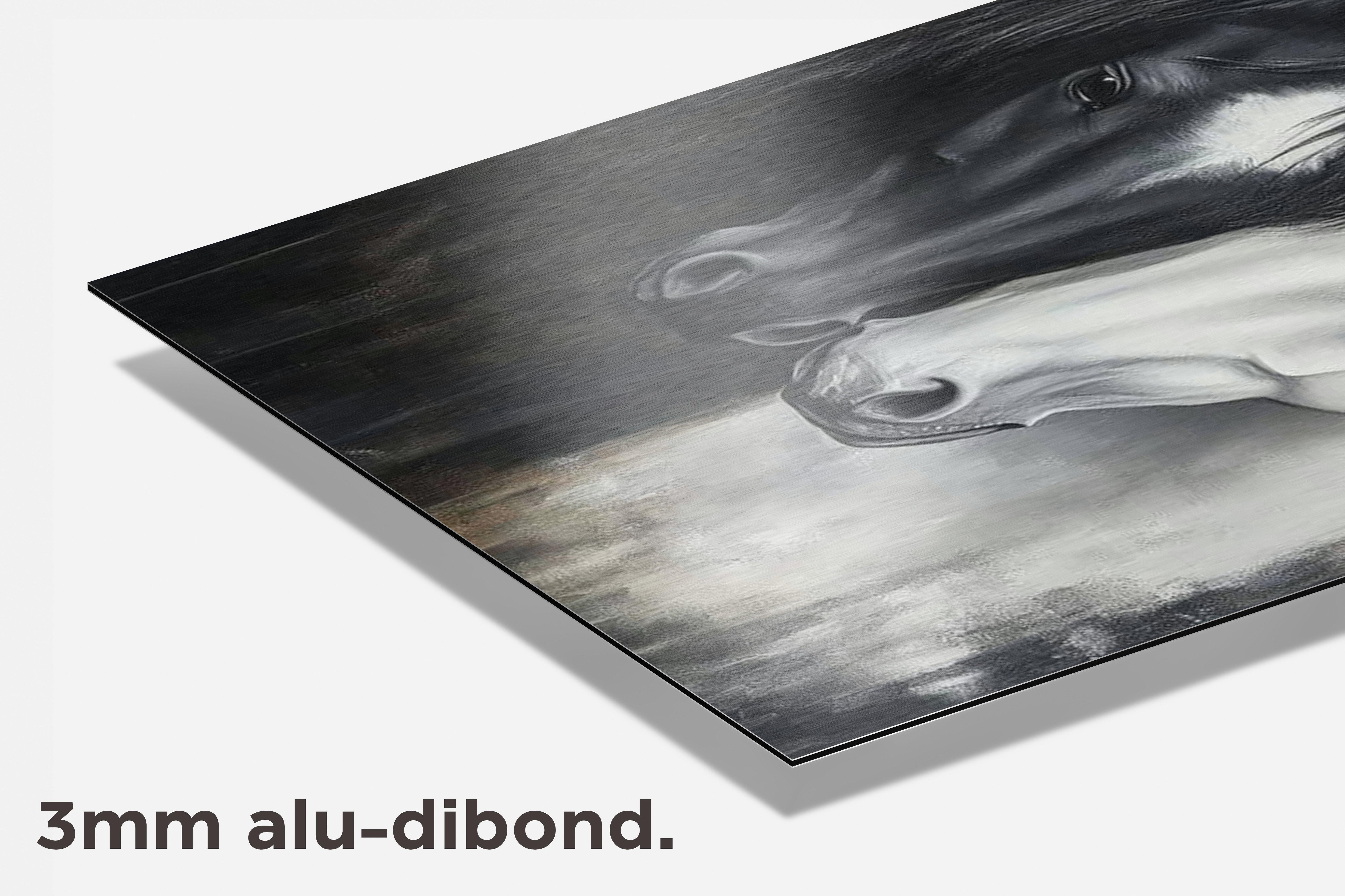Paarden Koppel dibond detail