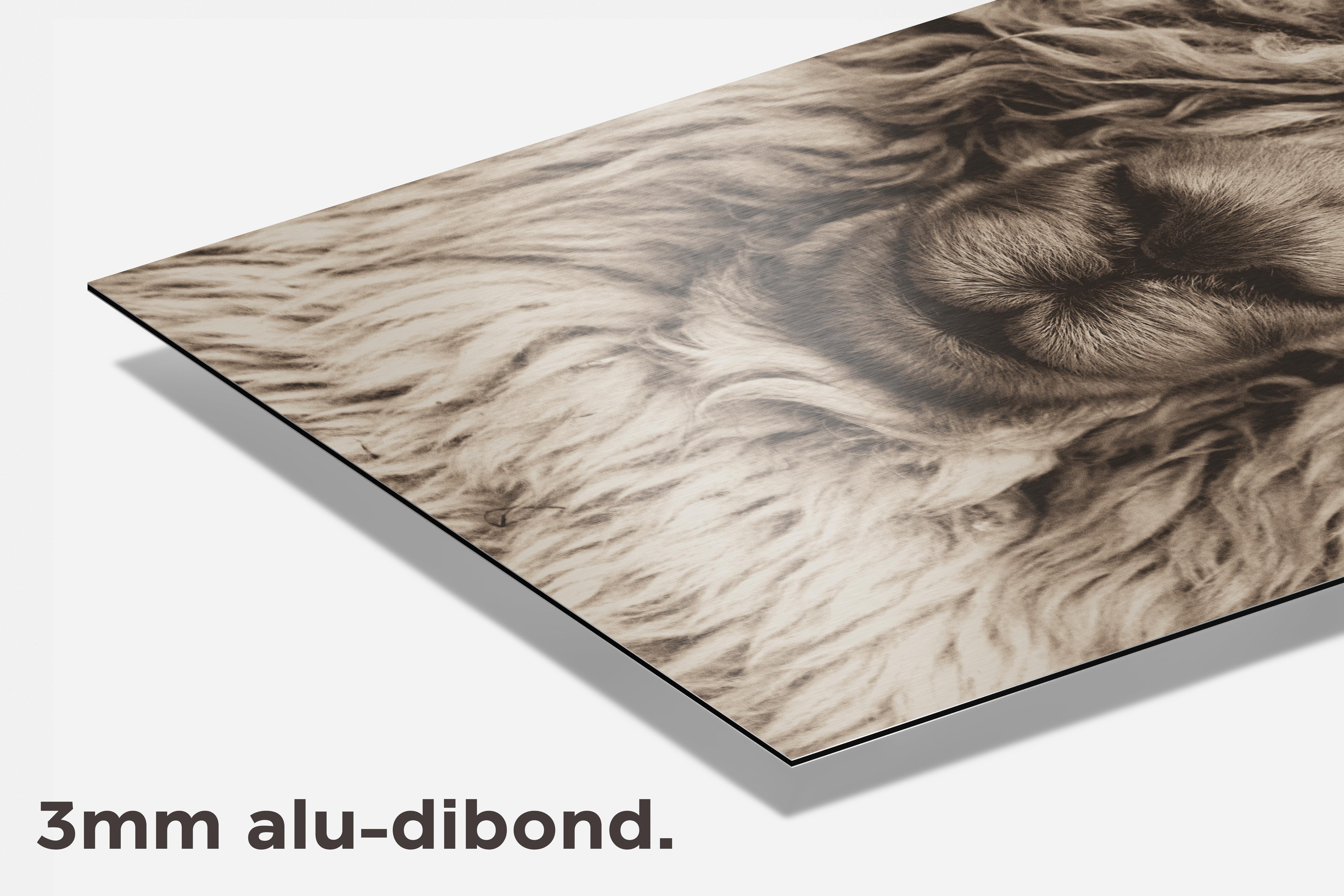 Alpaca Wol dibond detail