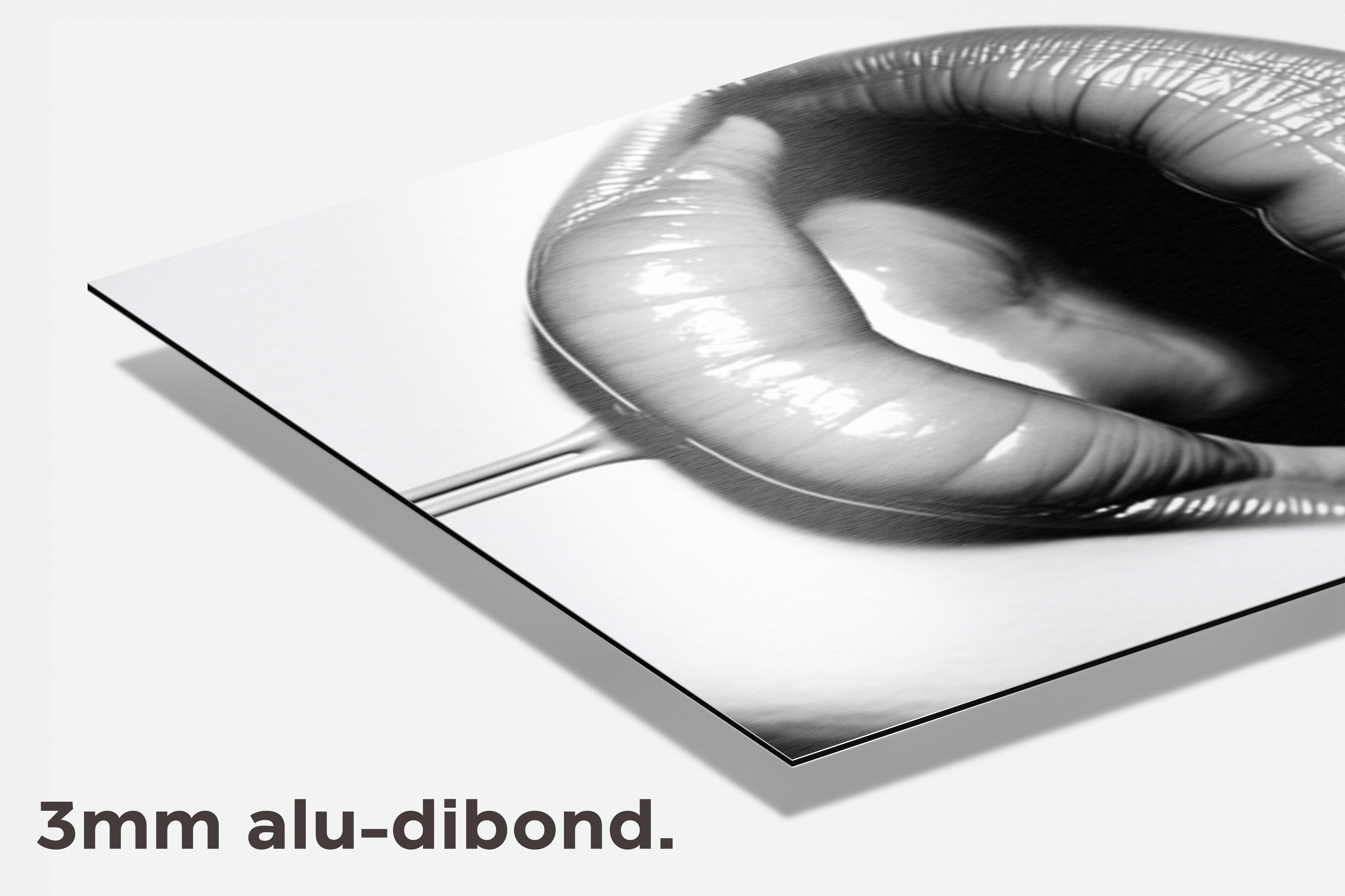 Mond Zwart Wit dibond detail