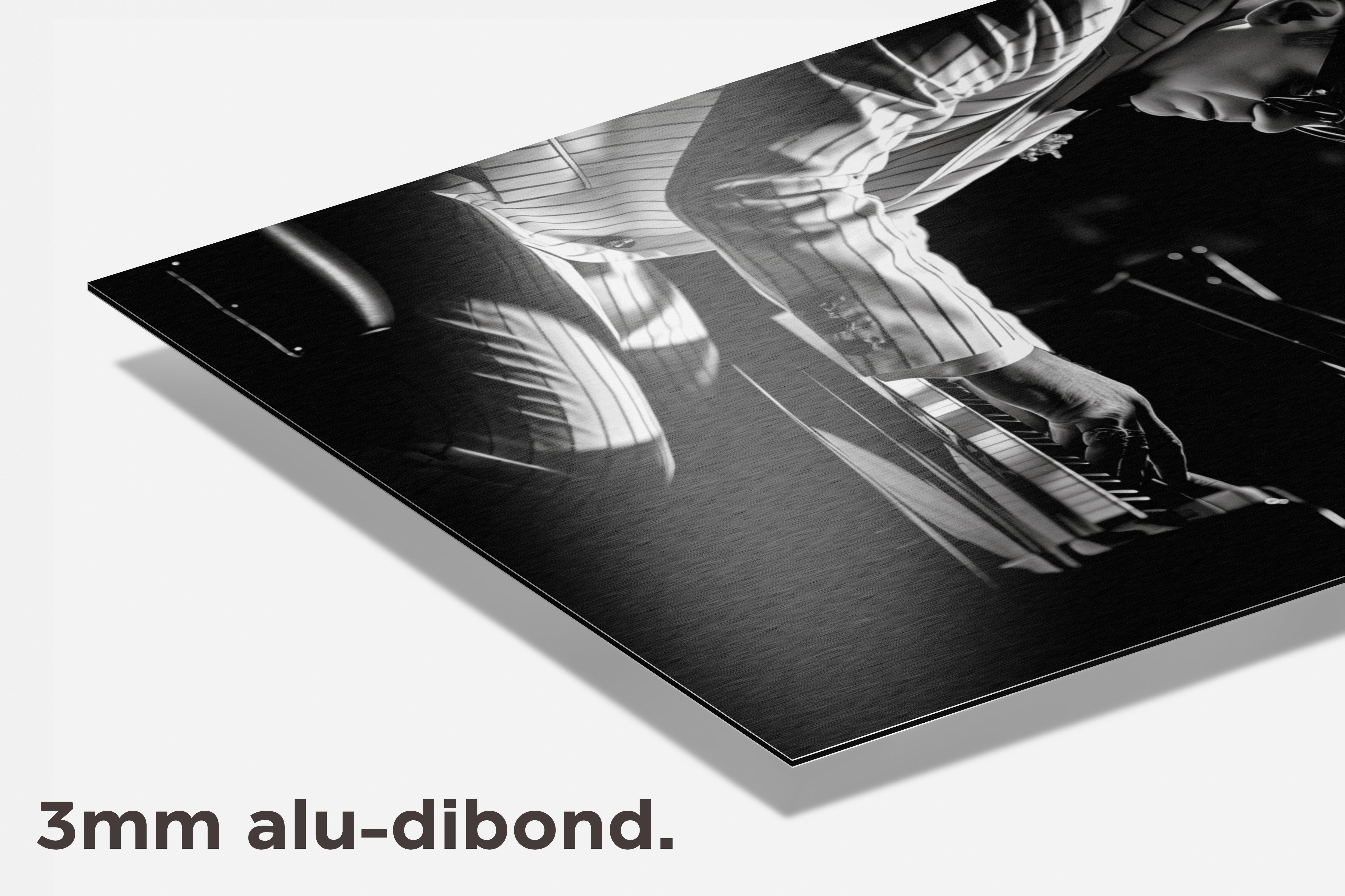 Elthon John Noir dibond detail