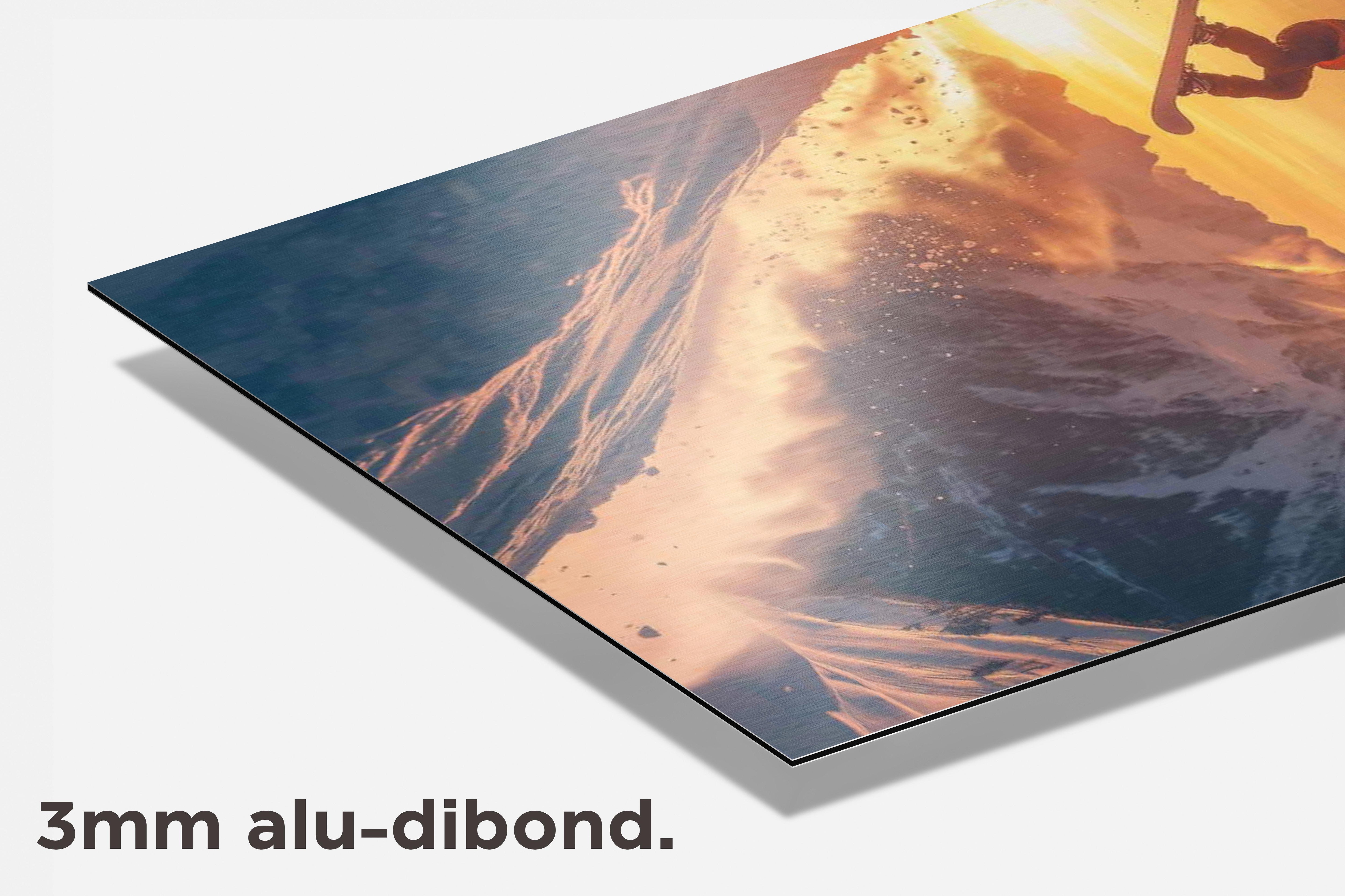 Snowboarder dibond detail