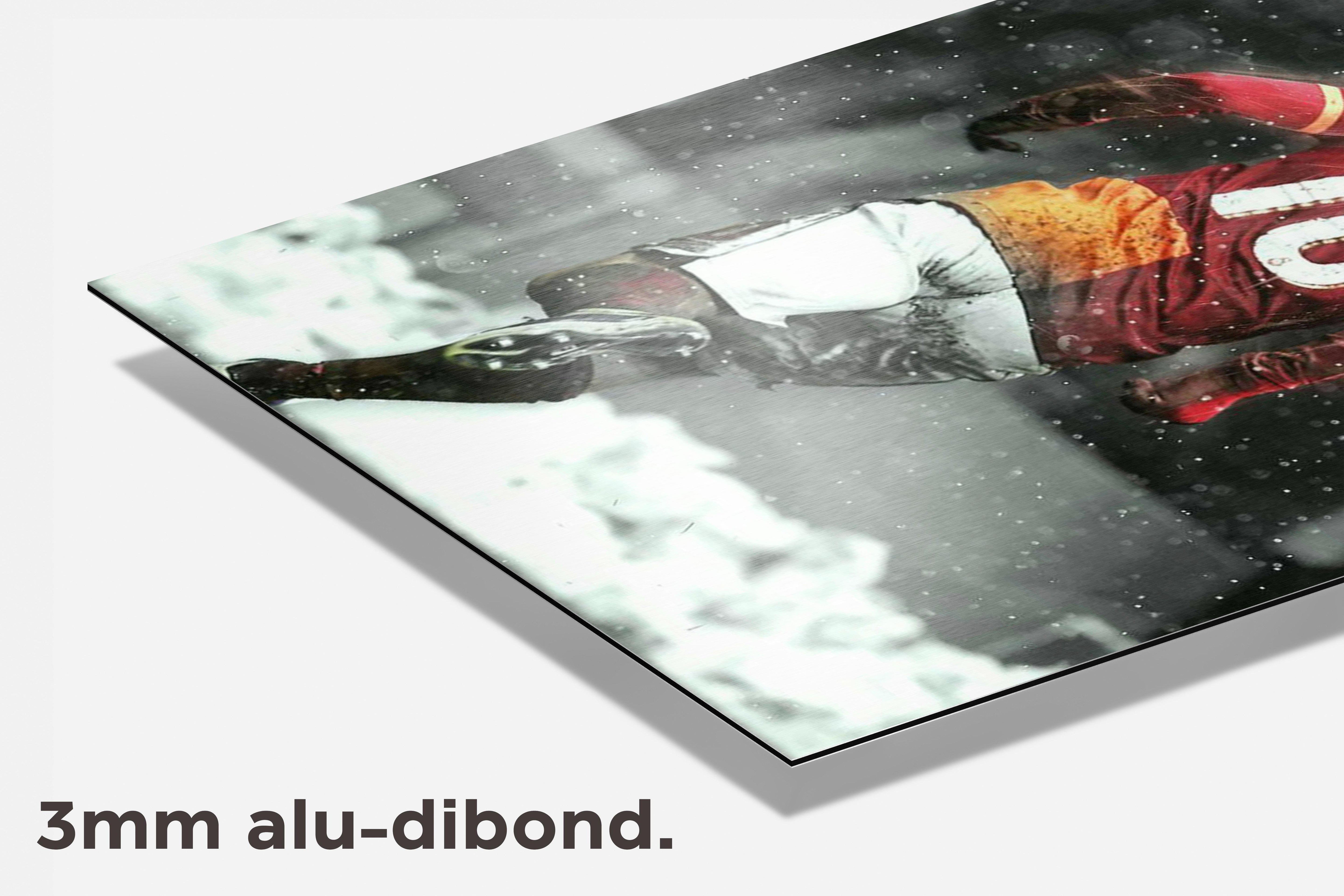 Wesley Sneijder dibond detail