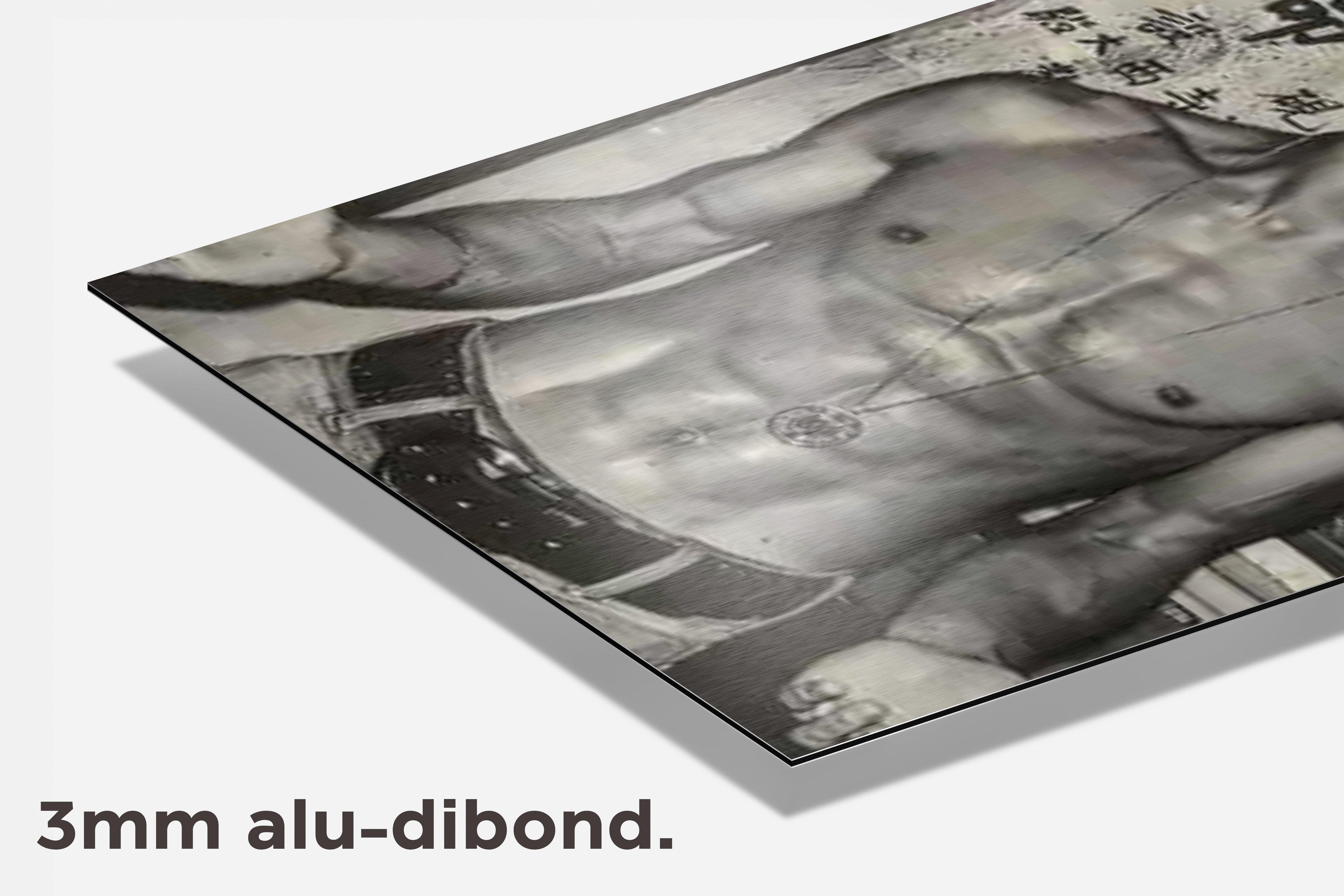 Bruce Lee dibond detail