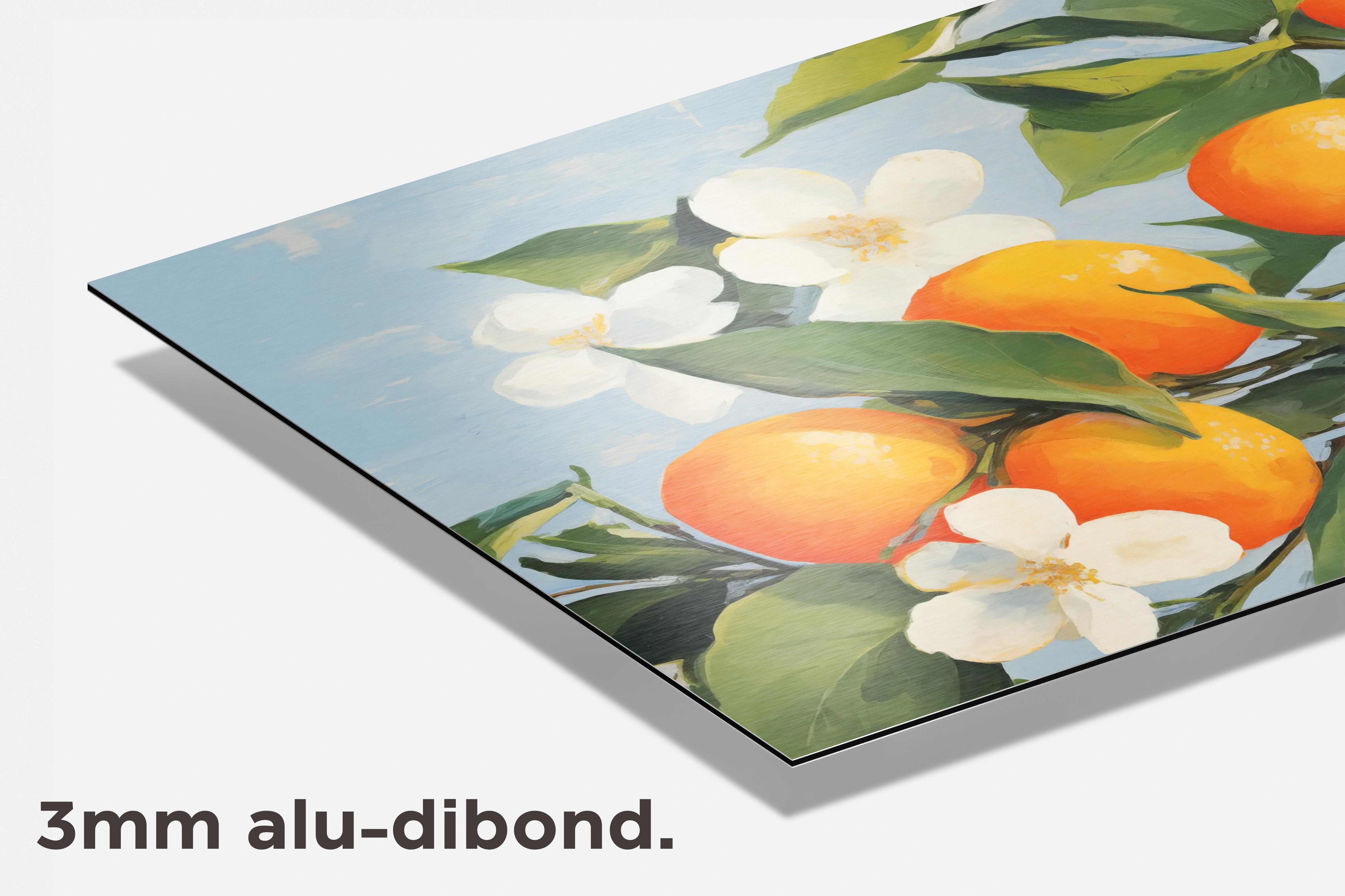 Sinaasappels dibond detail