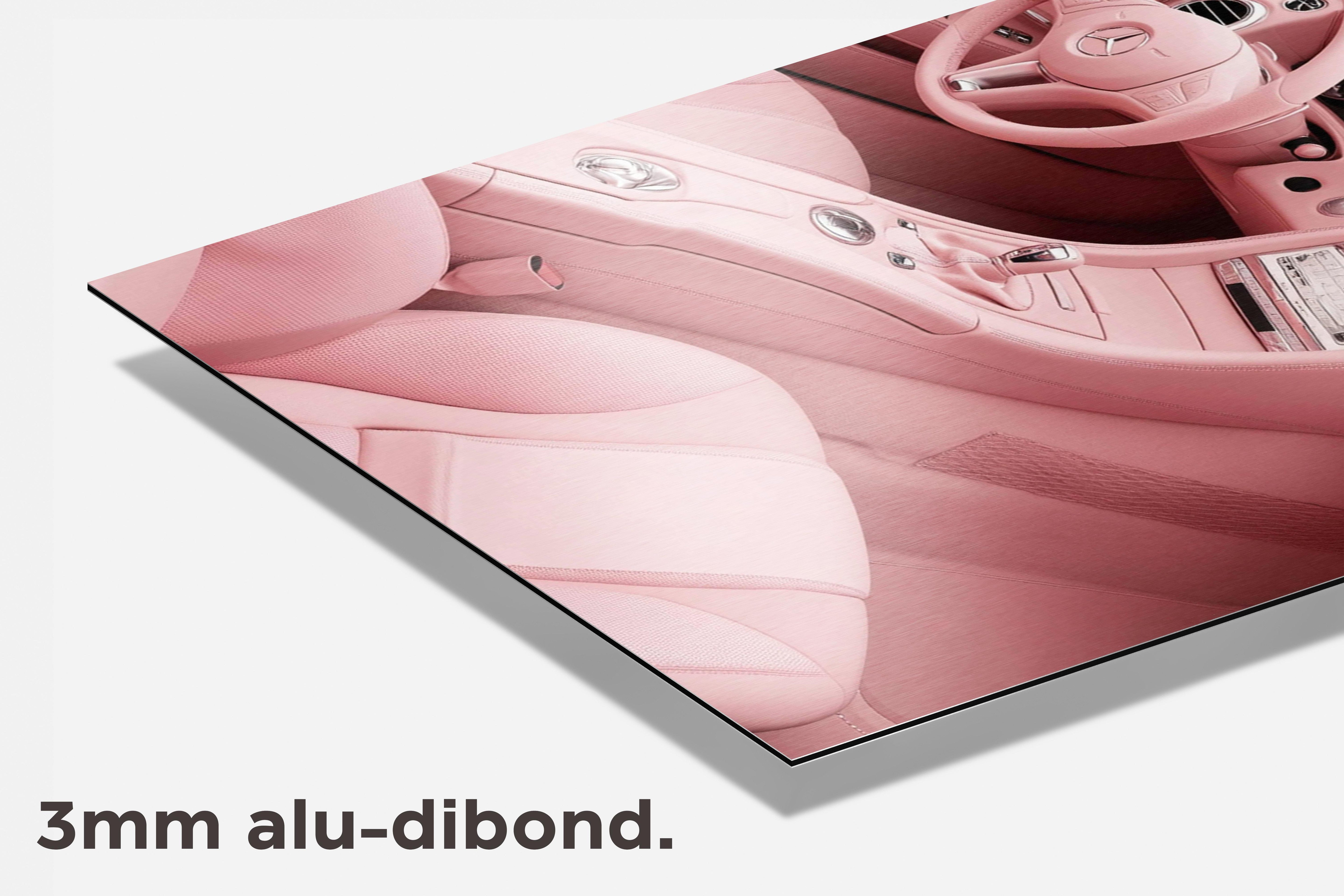 Mercedes Roze dibond detail