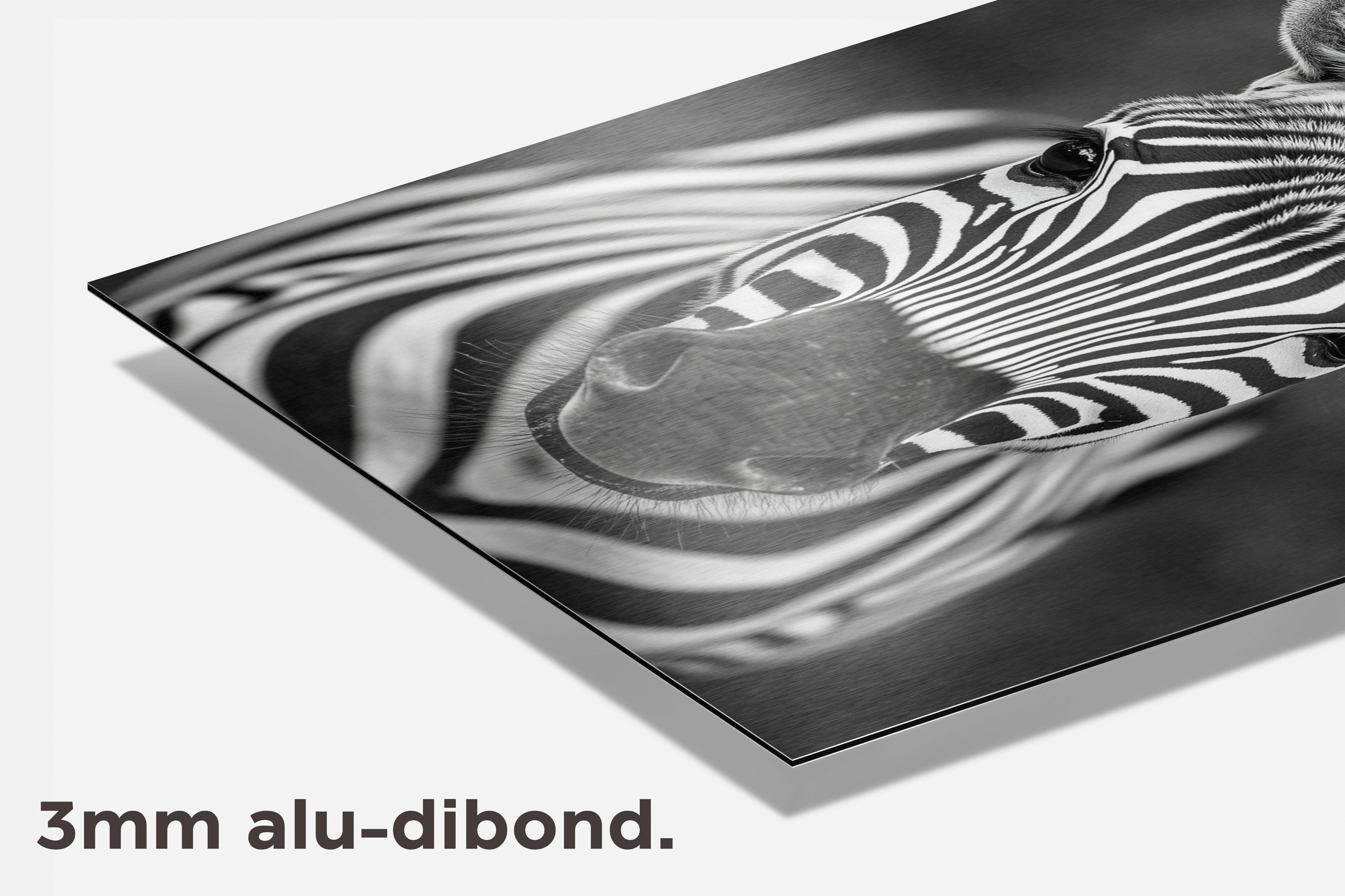 Zebra Zwart-Wit dibond detail