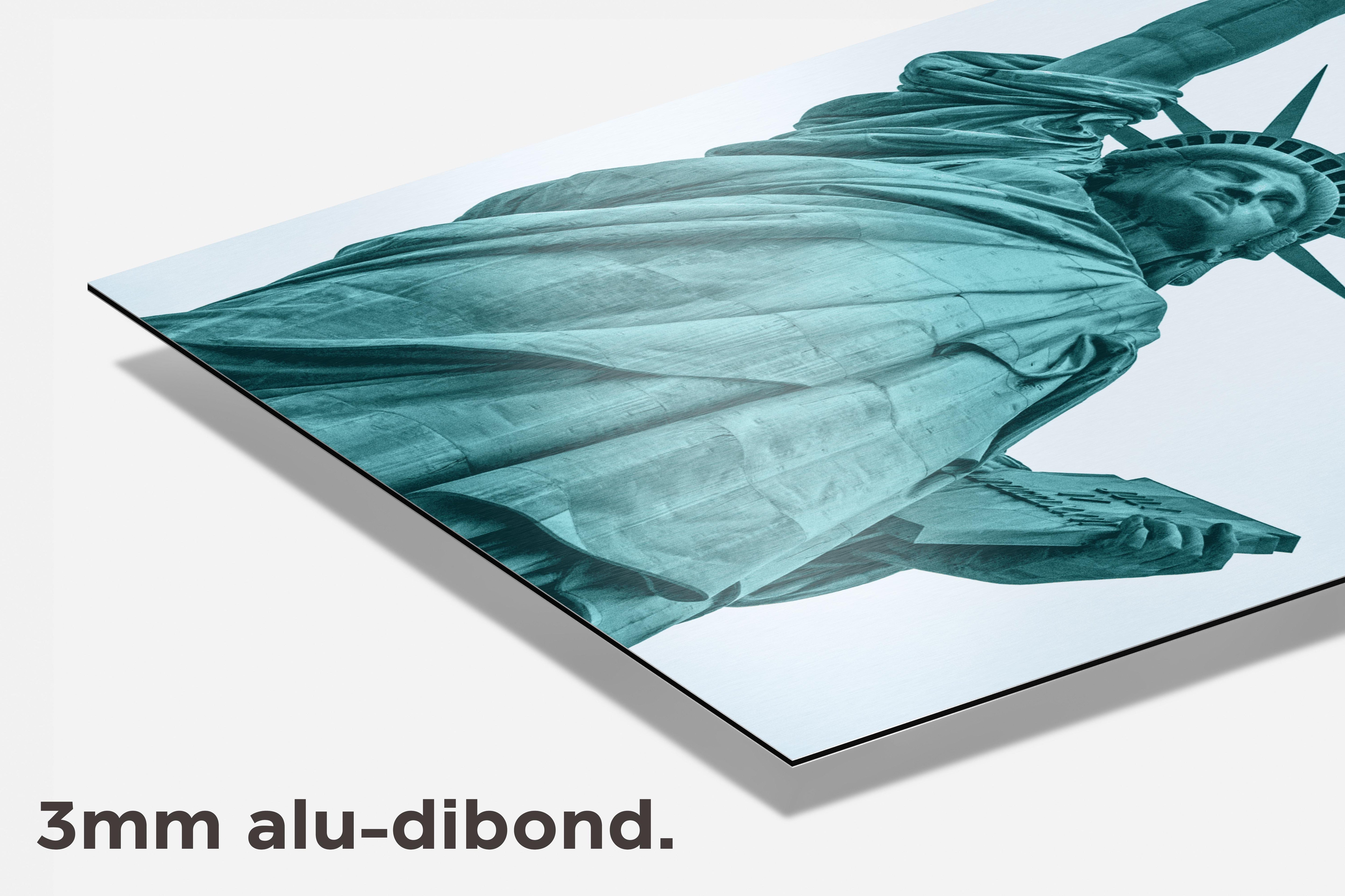 Vrijheidsbeeld dibond detail