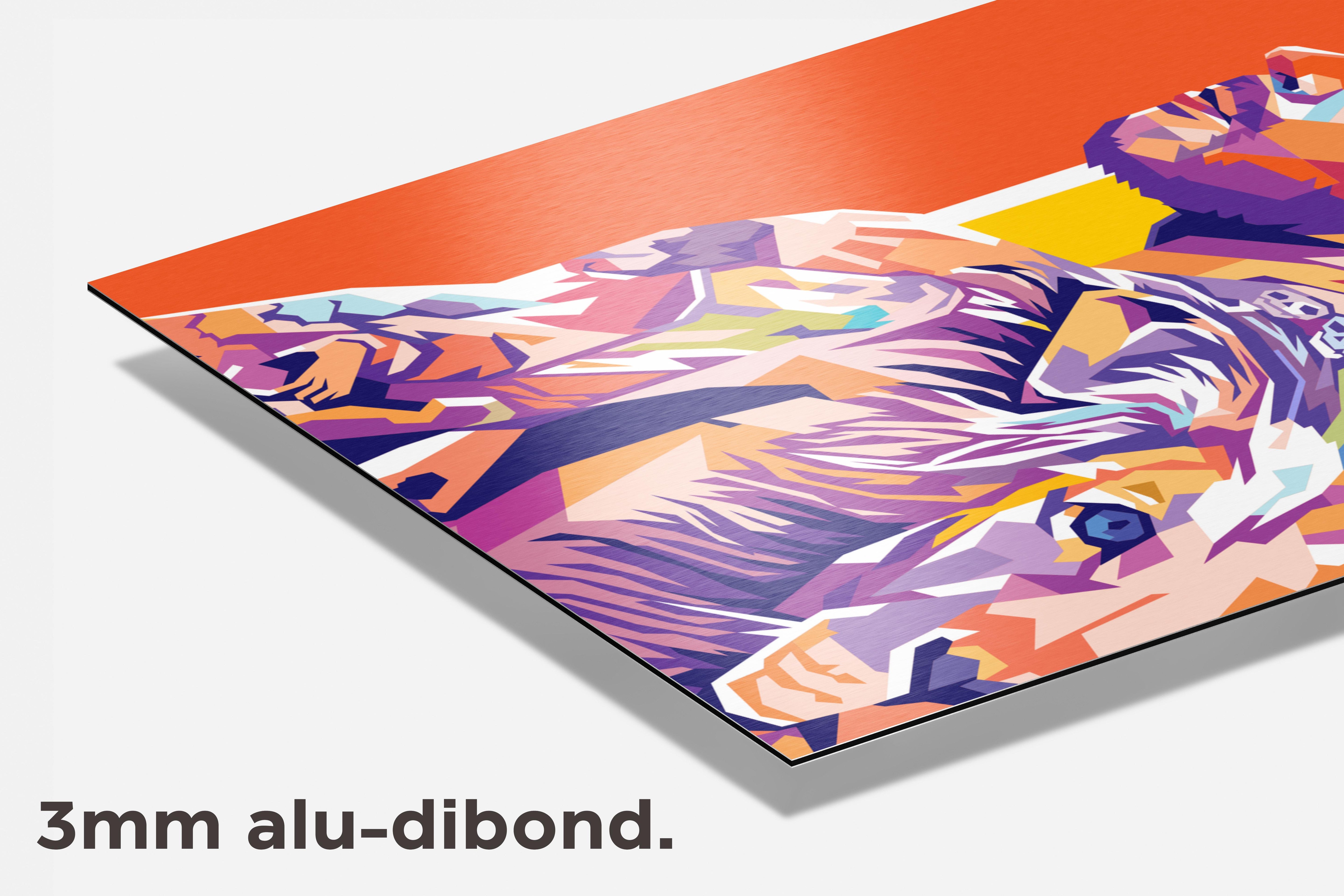 Memphis Depay dibond detail