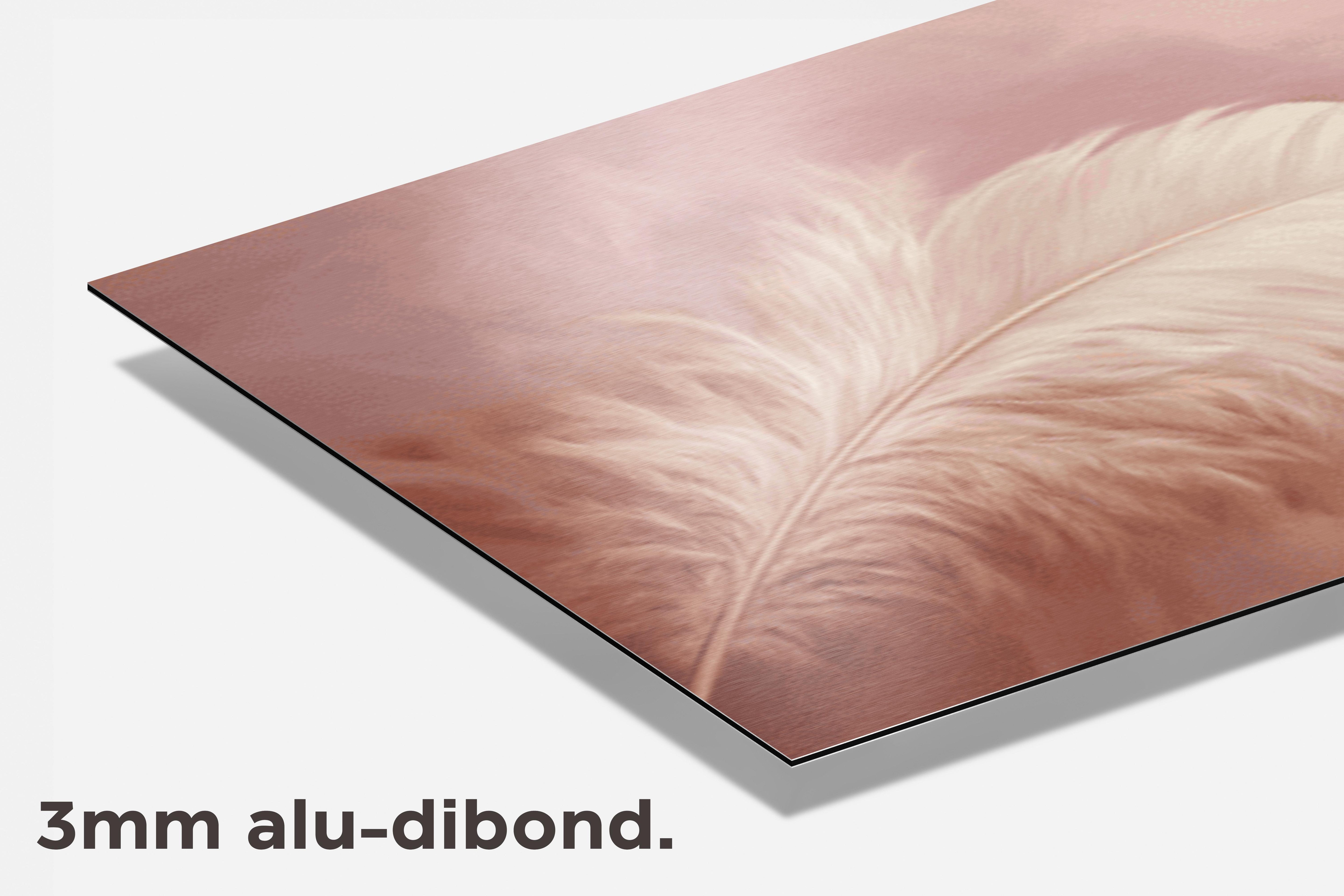 Veertje dibond detail