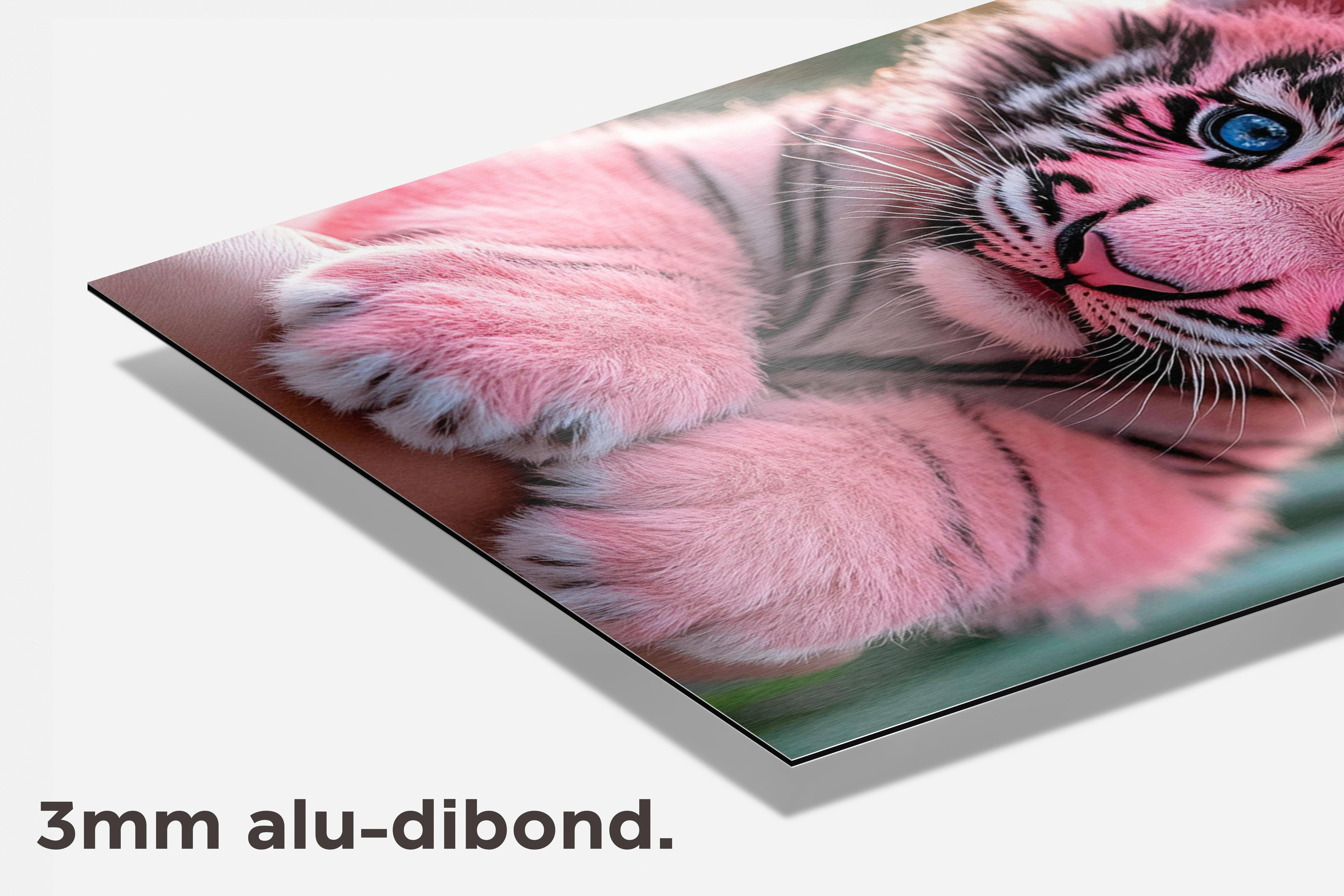 Babytijger dibond detail